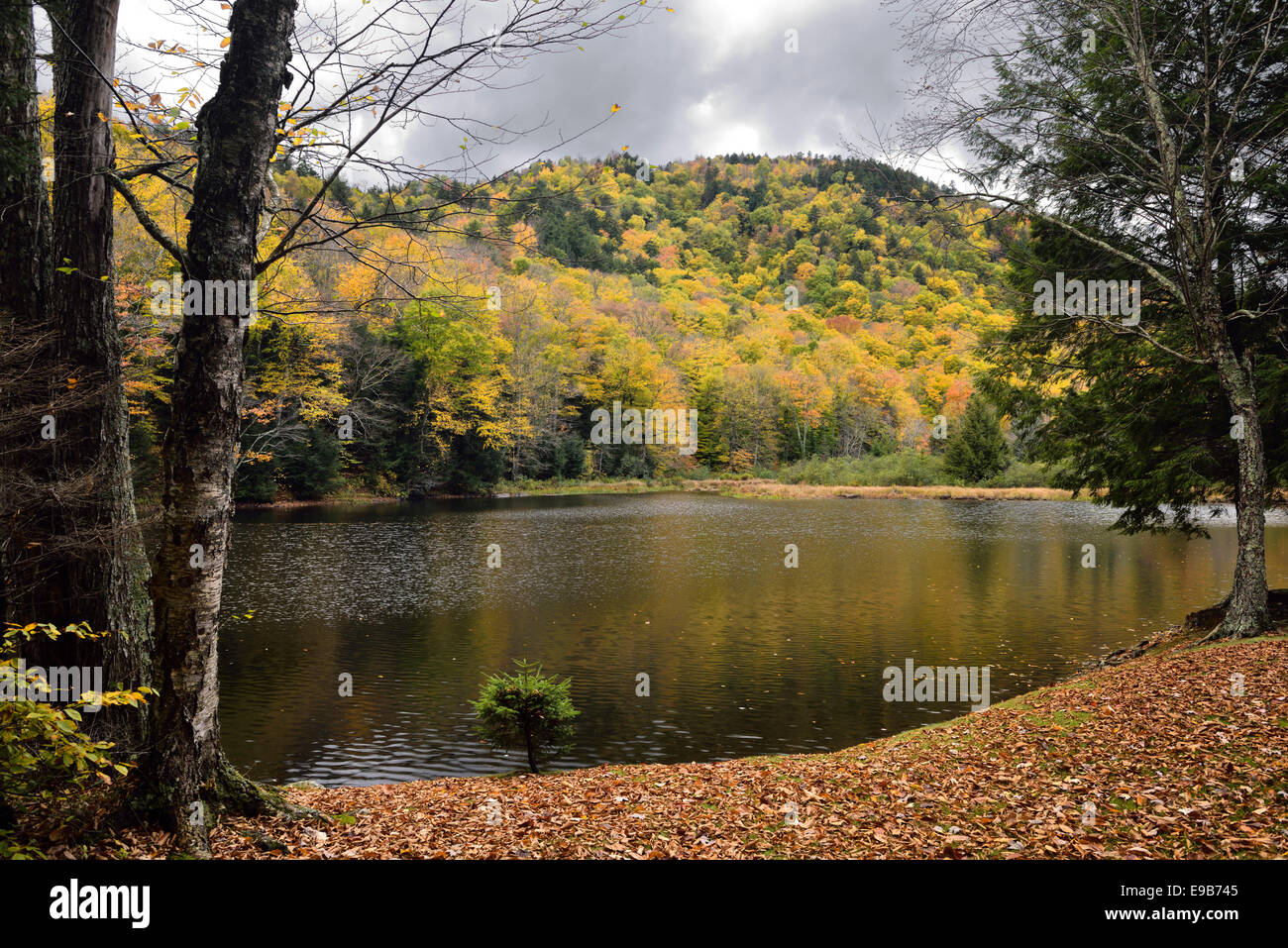 See Mansfield eigener Forellenteich im Herbst bei stowe Vermont usa Stockfoto