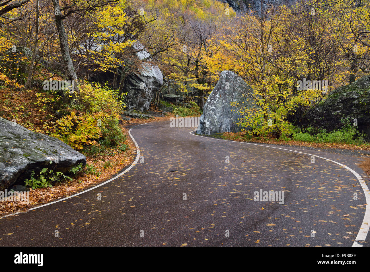 Kurvenreiche Straße durch Felsbrocken im Schmuggler Notch State Park in der Nähe von Stowe Vermont USA mit Herbst Baum Laub Stockfoto