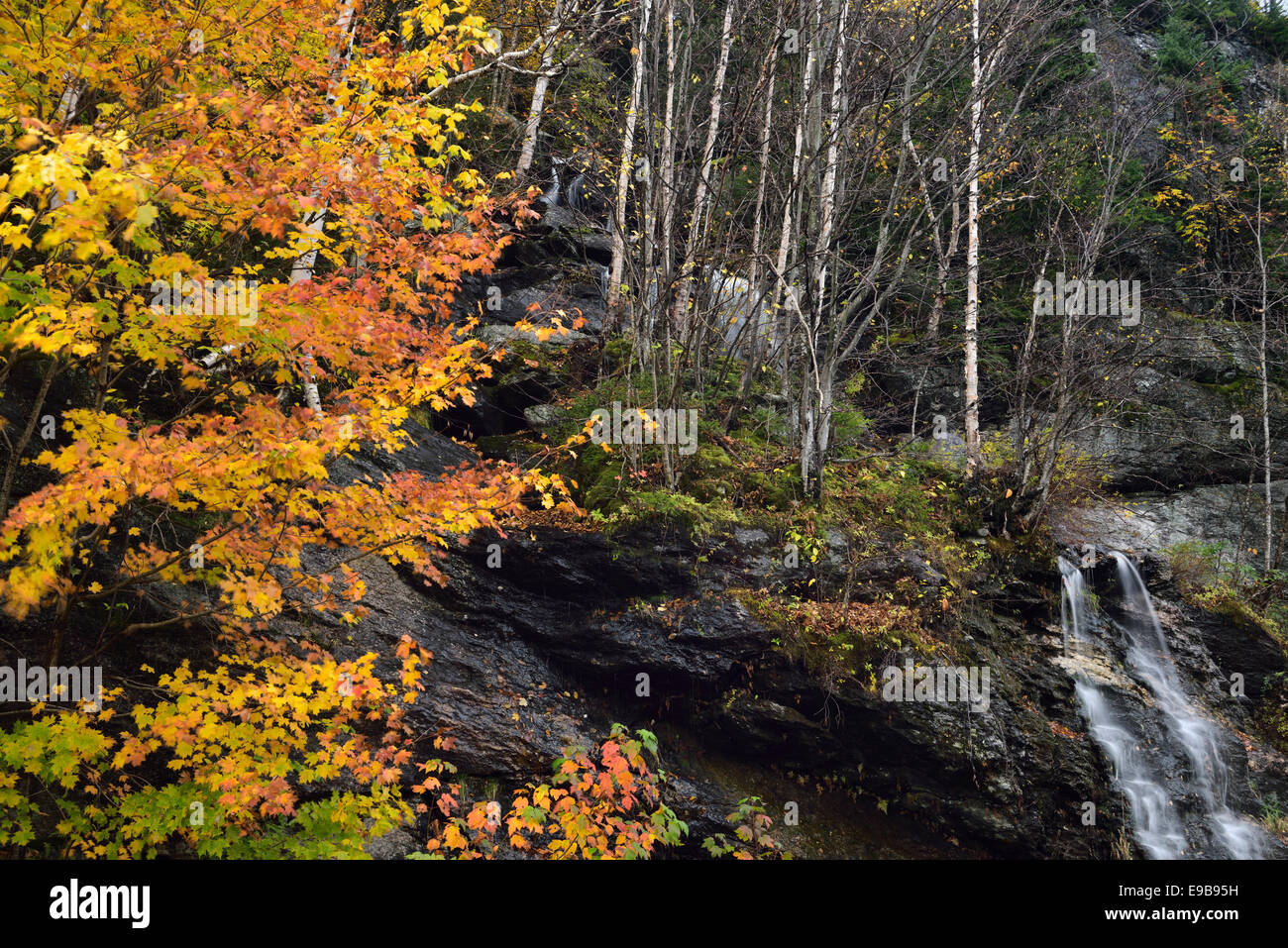 Ahorn und Birke Bäume im Herbst an einem Bergbach Wasserfall von Madonna Peak bei Smugglers Notch road Vermont usa Stockfoto