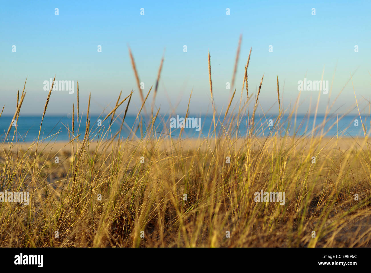 Sonnenaufgang in Andalusien Costa De La Luz in der Sommerzeit. Stockfoto