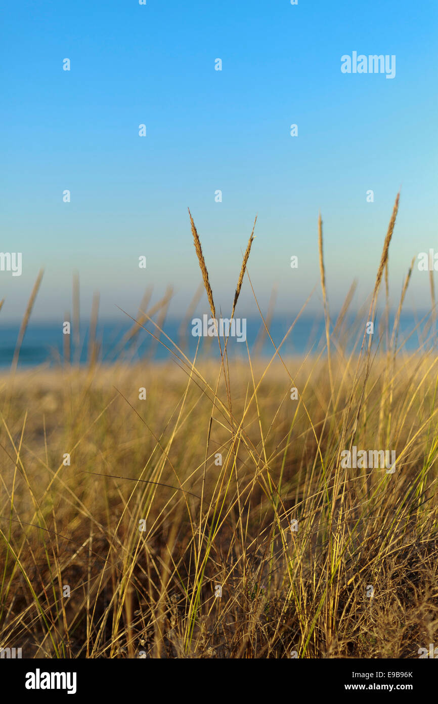 Sonnenaufgang in Andalusien Costa De La Luz in der Sommerzeit. Stockfoto