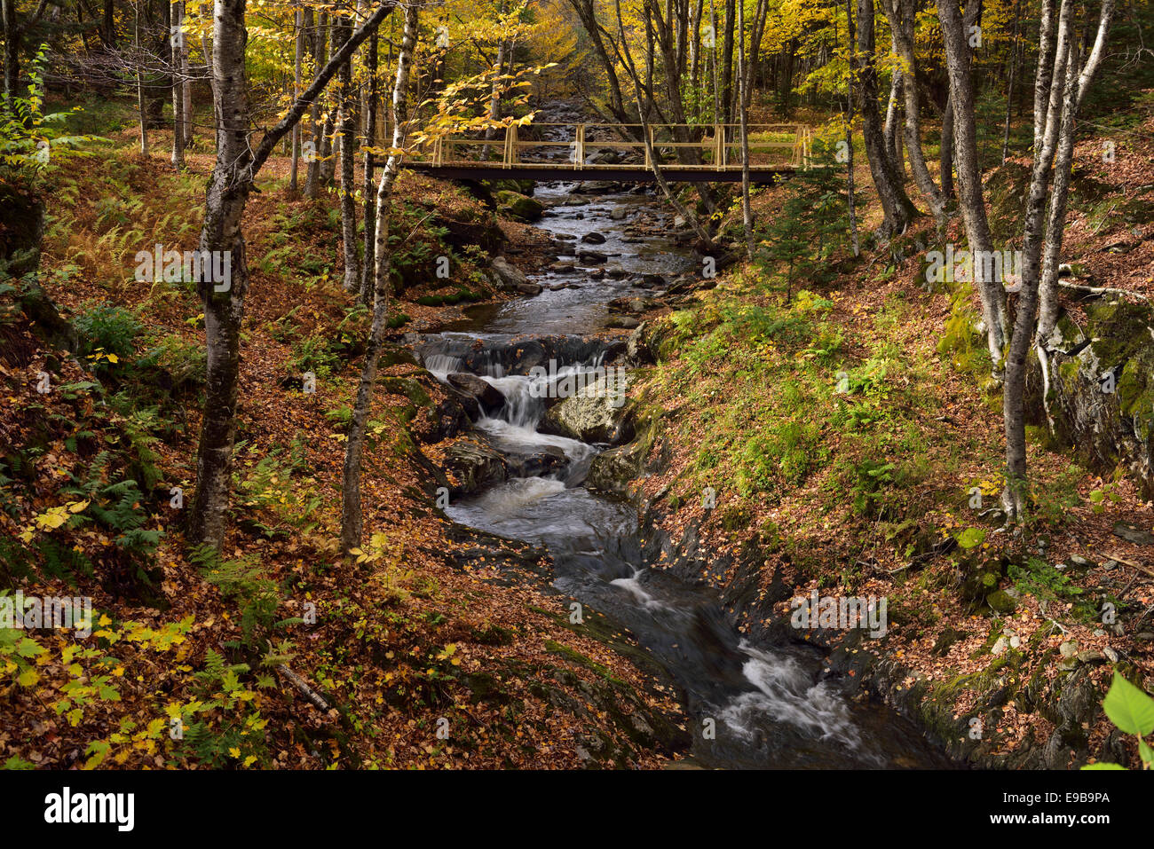 Fuß Brücke über Sterling Bach vor dem fällt mit Herbst Wald nördlich von stowe Vermont usa Stockfoto