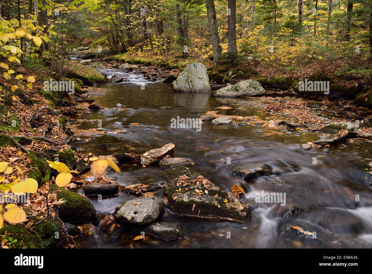 Sterling Bach an Sterling Falls mit Felsbrocken und Laub nördlich von stowe Vermont usa fallen Stockfoto