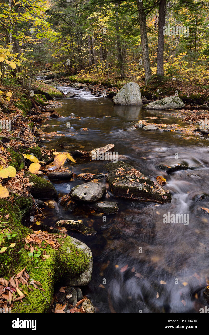 Felsbrocken und Herbstlaub in Sterling Brook in der Nähe der Wasserfälle nördlich von Stowe Vermont USA Stockfoto