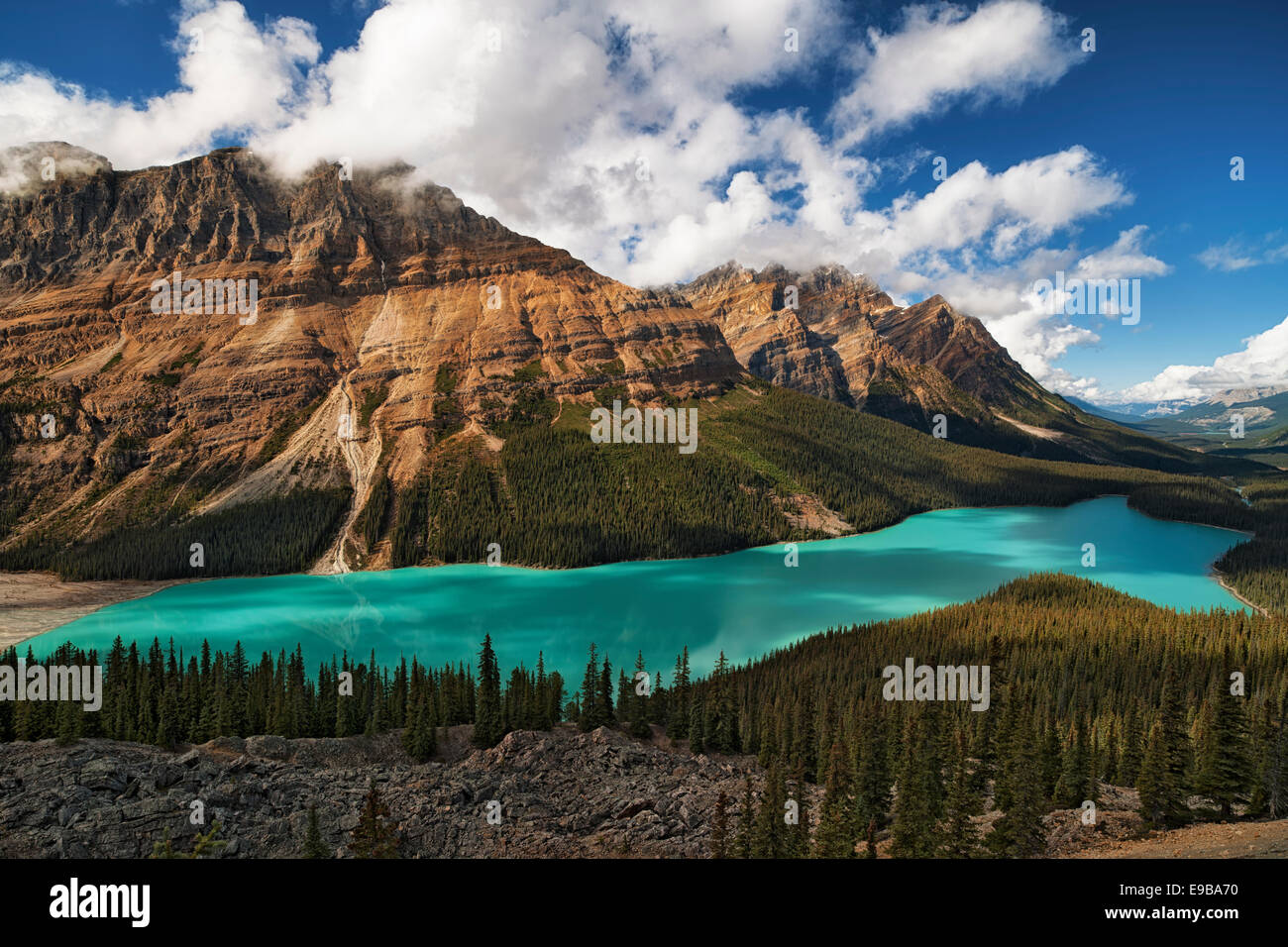 Spektakuläre türkise Farbe der Peyto Lake in Alberta die kanadischen Rockies und Banff Nationalpark von Bow Summit. Stockfoto