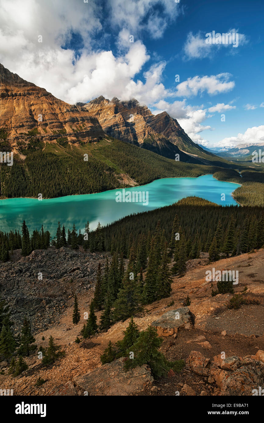Spektakuläre türkise Farbe der Peyto Lake in Alberta die kanadischen Rockies und Banff Nationalpark von Bow Summit. Stockfoto