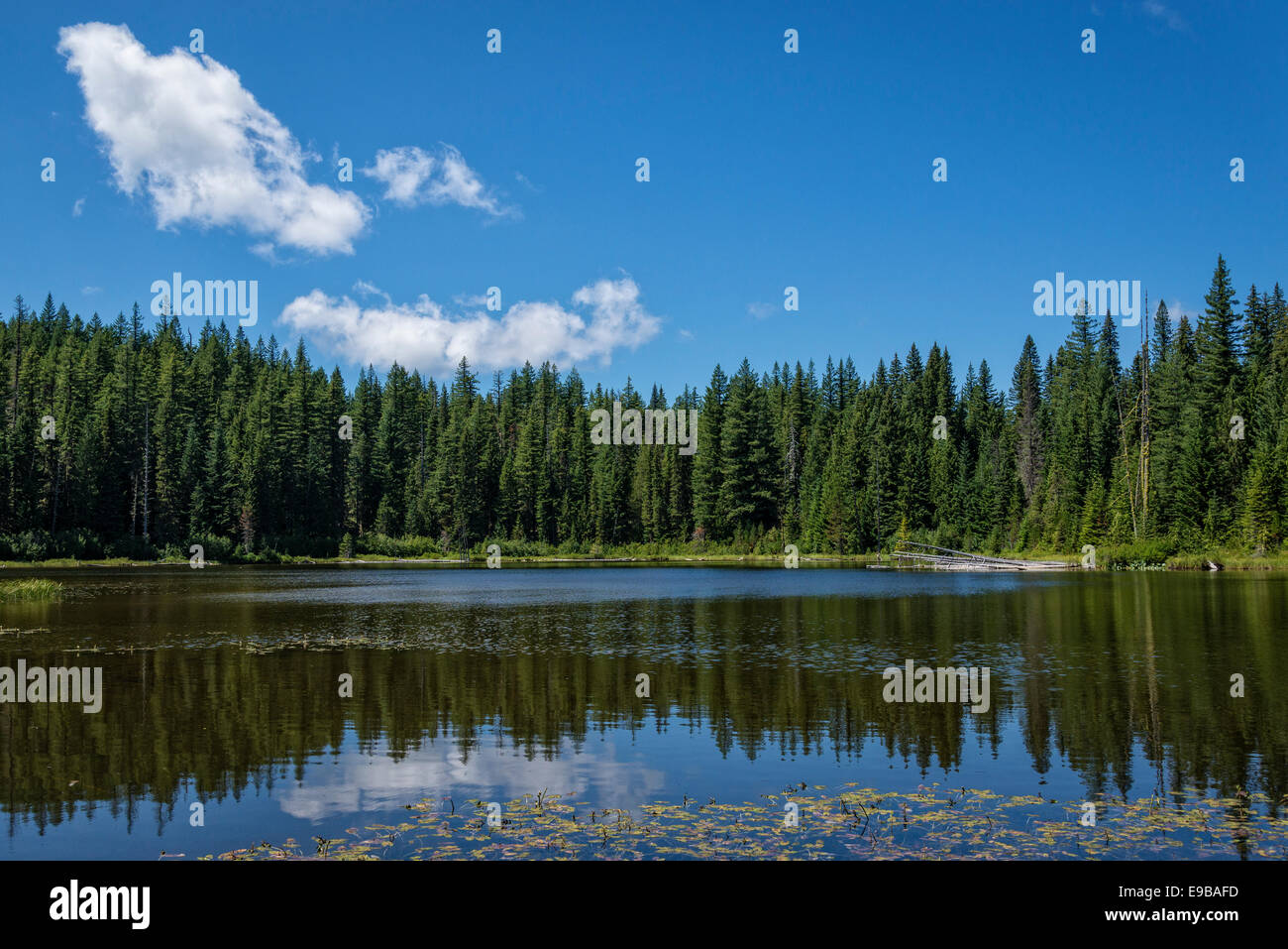 Waldo Lake Wilderness, Cascade Mountains, Salmon Lake, Oregon zu senken. Stockfoto