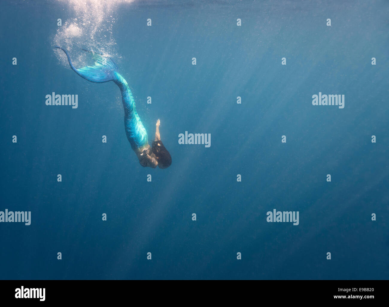 Brünette Meerjungfrau Schwimmen von der Oberfläche in den Gewässern vor Isla Mujeres, Mexiko Stockfoto