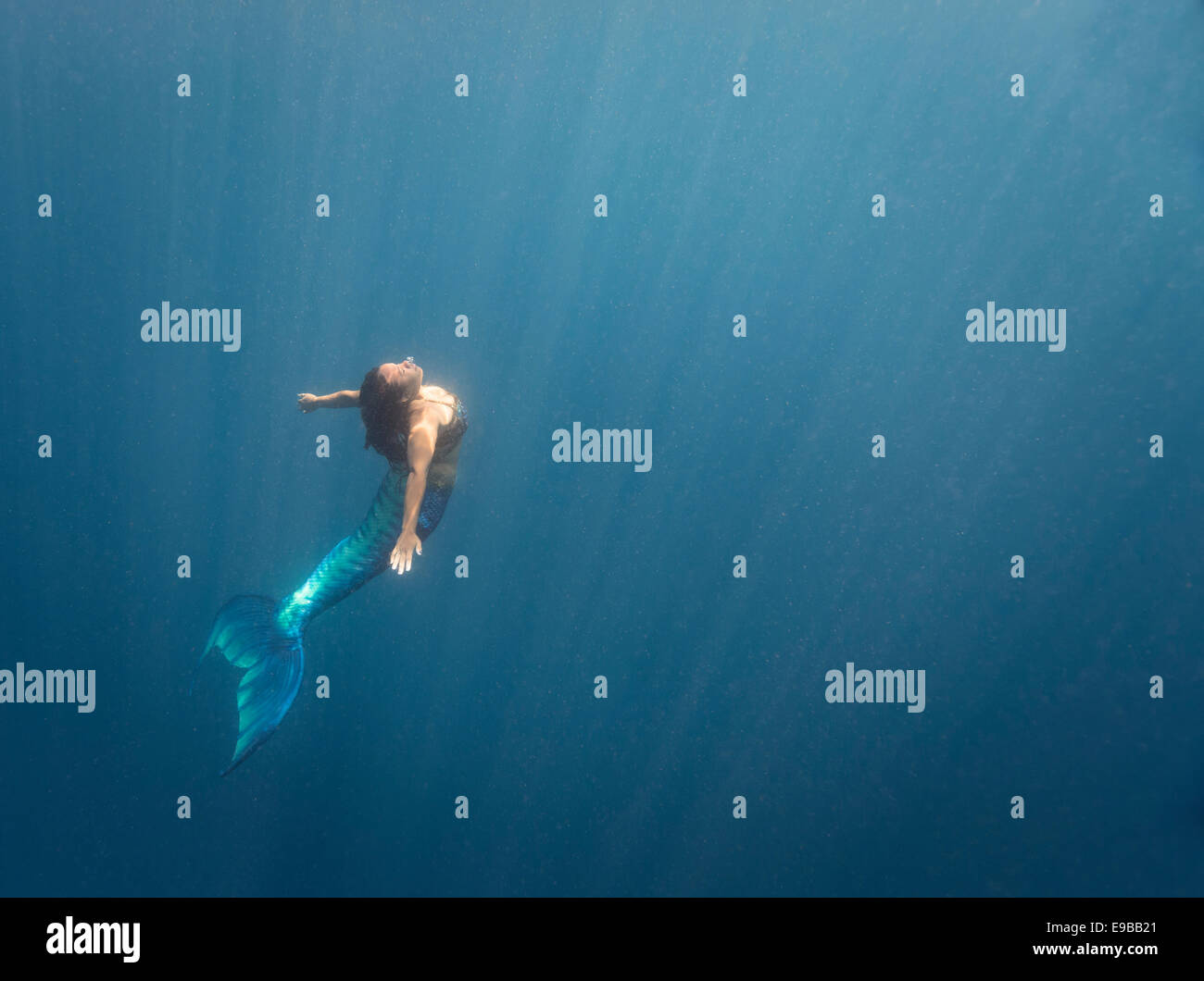 Meerjungfrau Schwimmen durch die Gewässer vor Isla Mujeres, Mexiko Stockfoto