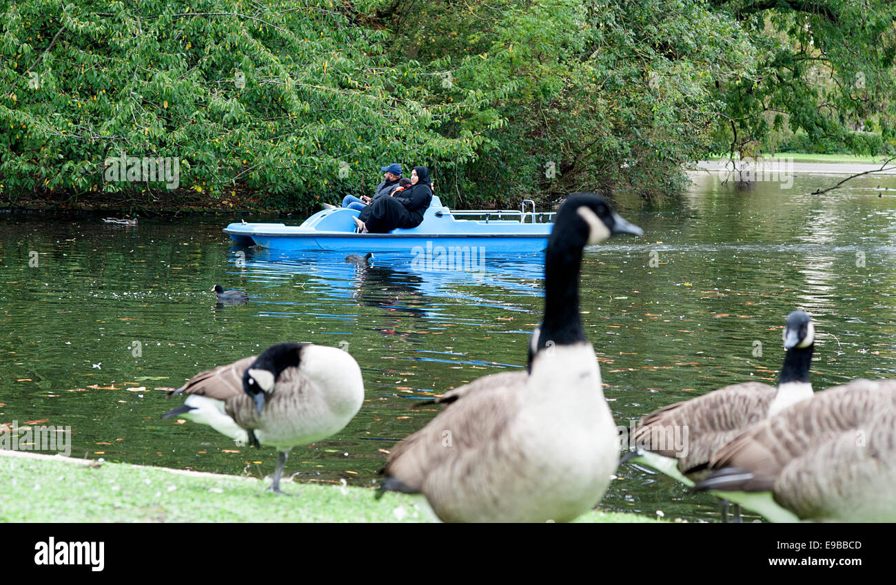 Bootfahren auf dem See im Regents Park, Royal Park in London. Stockfoto