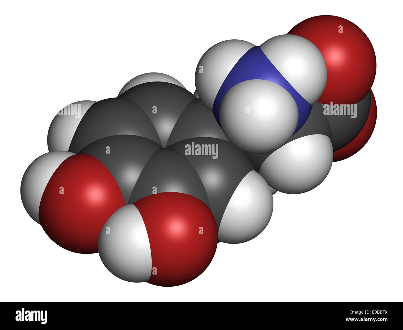 L-Dopa (Levodopa) der Parkinson-Krankheit Wirkstoffmolekül. Atome sind als Kugeln mit konventionellen Farbcodierung vertreten: Wasserstoff () Stockfoto
