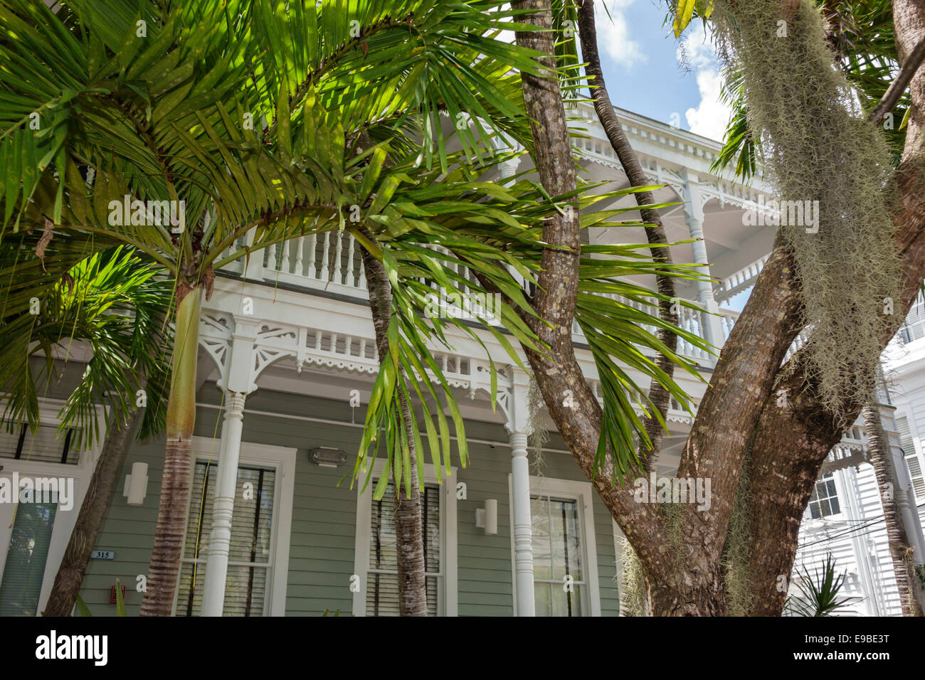 Key West Florida, Keys Fleming Street, Haushäuser Häuser Häuser Häuser Wohnsitz, Haus, private Residenz, Palmen, spanisches Moos, tropische Landschaft Stockfoto