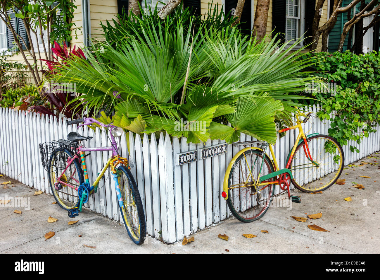 Key West Florida, Keys Fleming Street, Haushäuser Häuser Häuser Häuser Residenz, Haus, private Residenz, weißer Zaun, bunt, Fahrräder, tropisches lan Stockfoto