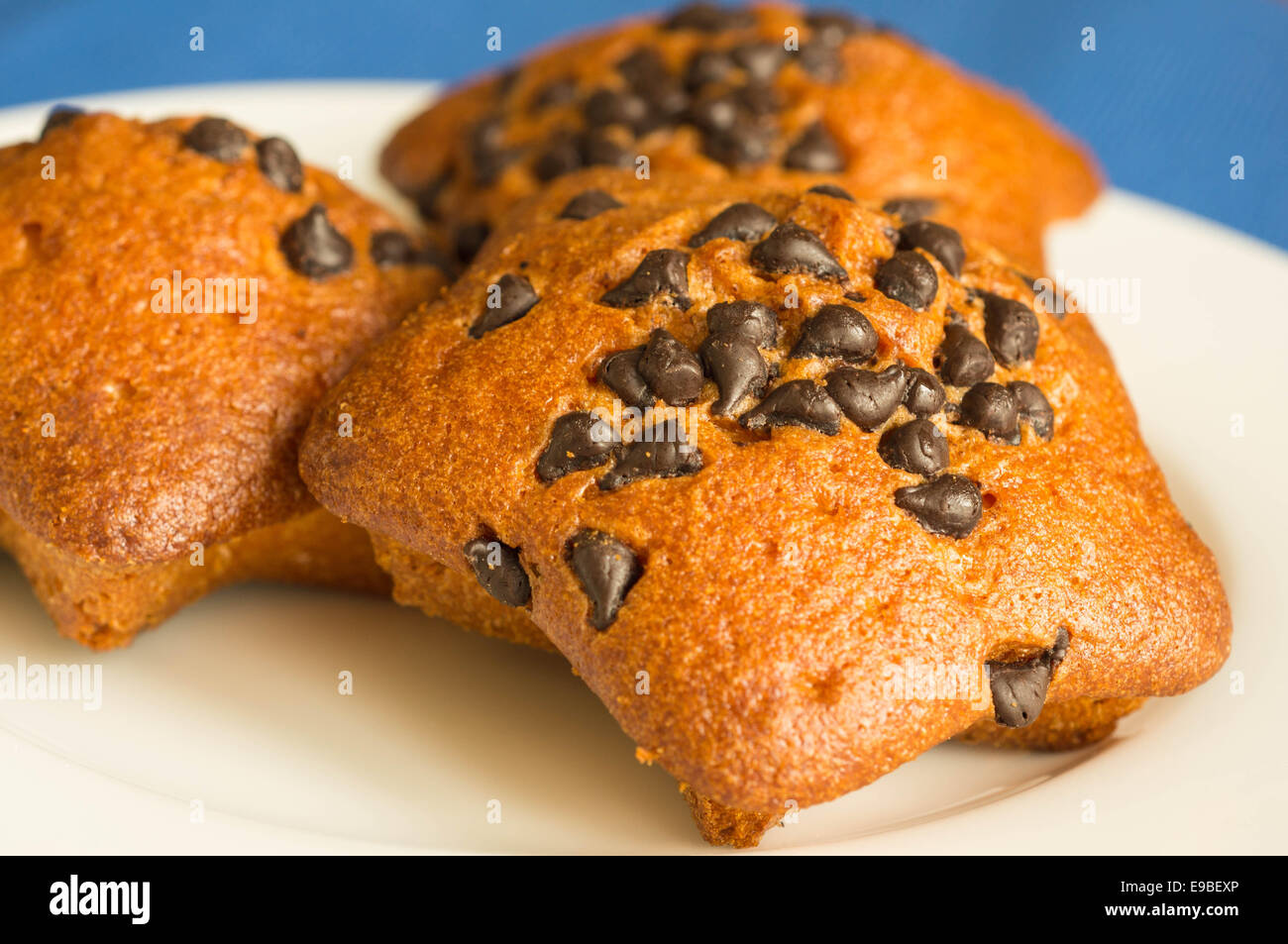 Früchtekuchen mit Schokolade Scheiben Stockfoto