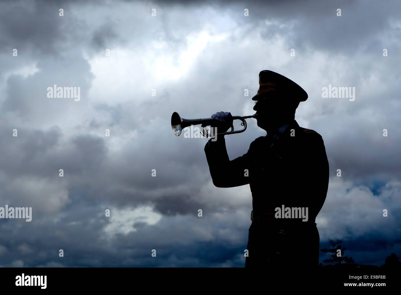 Silhouette eines Mannes, die Hähne auf seiner Trompete zu spielen, bei einer Beerdigung Veteranen an medizinischen See Veterans Memorial in Washington. Stockfoto