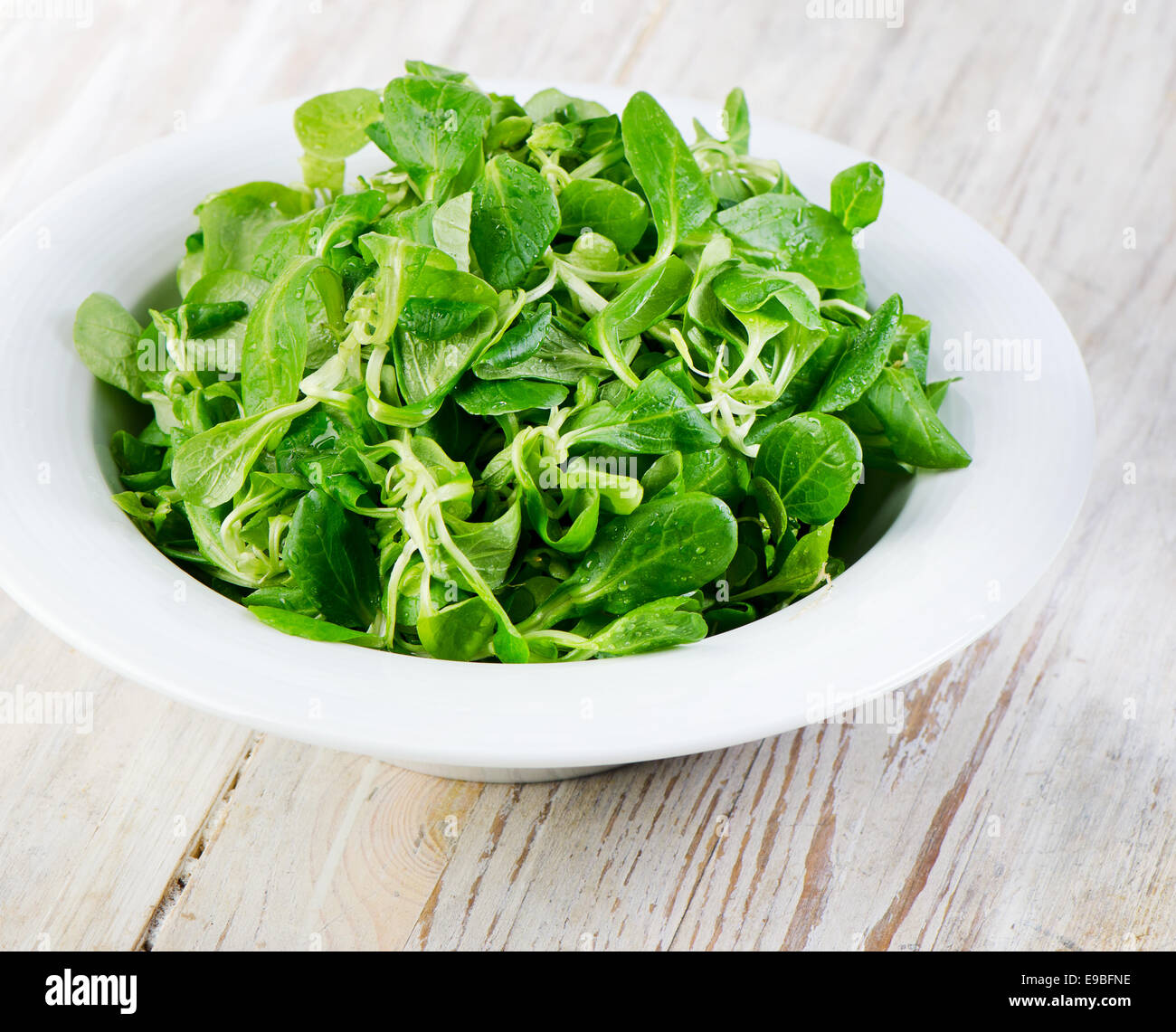 grüner Salat Stockfoto