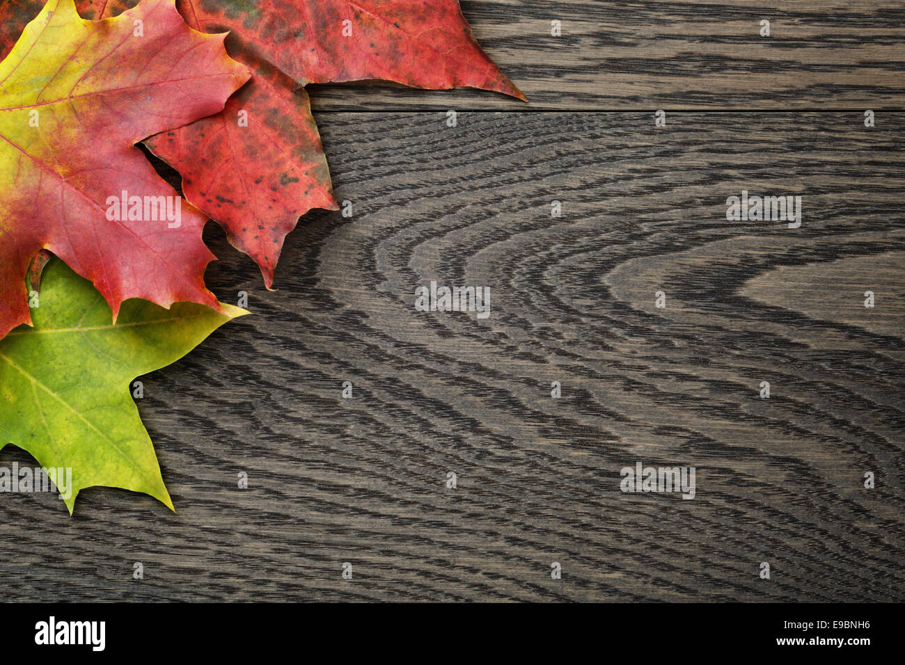 herbstliche Ahornblätter auf alten Eichentisch direkt von oben Stockfoto