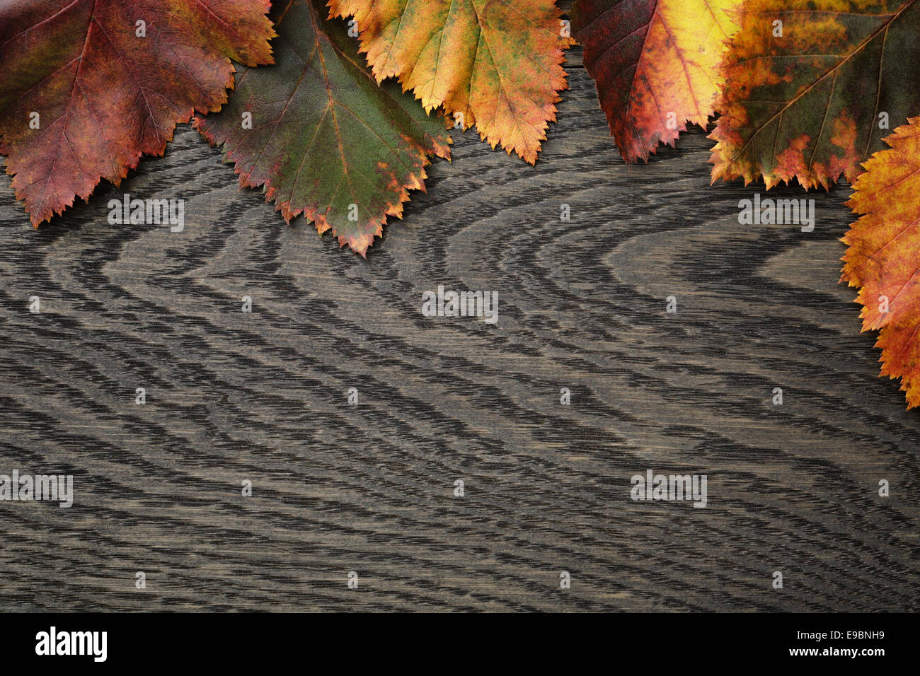 Herbst Weißdorn Blätter auf alten Eichentisch direkt von oben Stockfoto