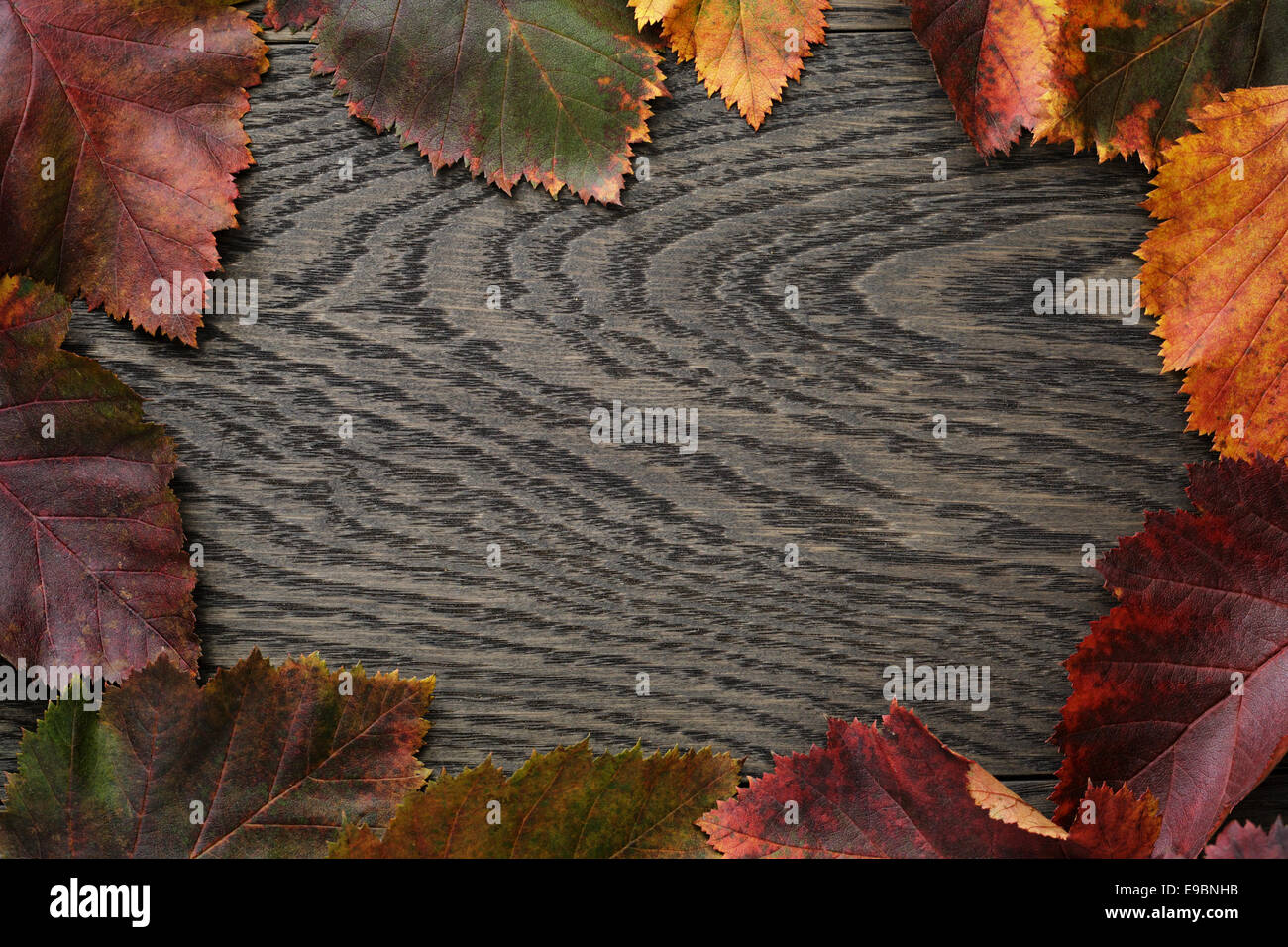 Herbst Weißdorn Blätter auf alten Eichentisch direkt von oben Stockfoto