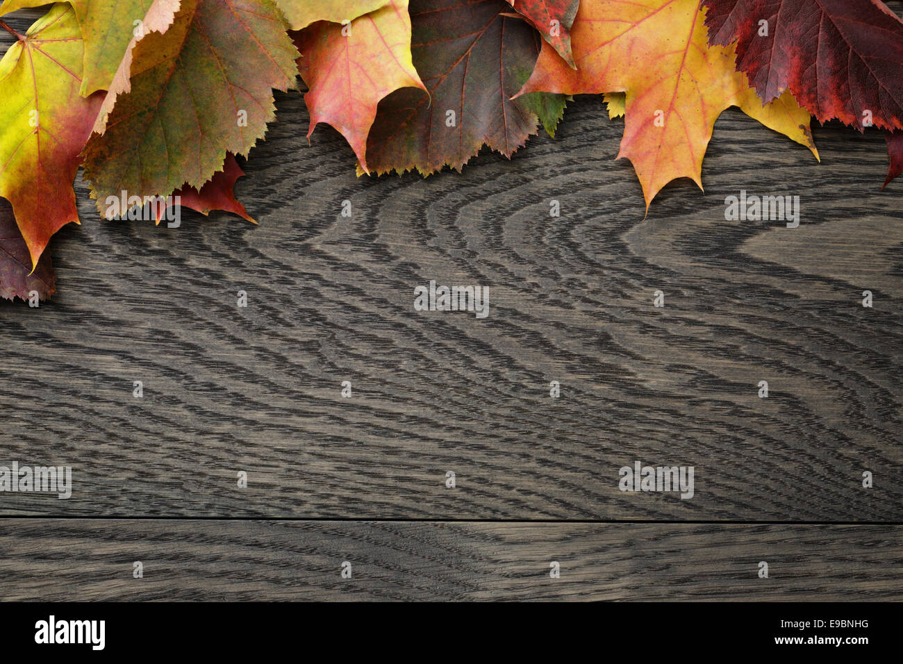 Herbstlaub auf alten Eichentisch direkt von oben Stockfoto