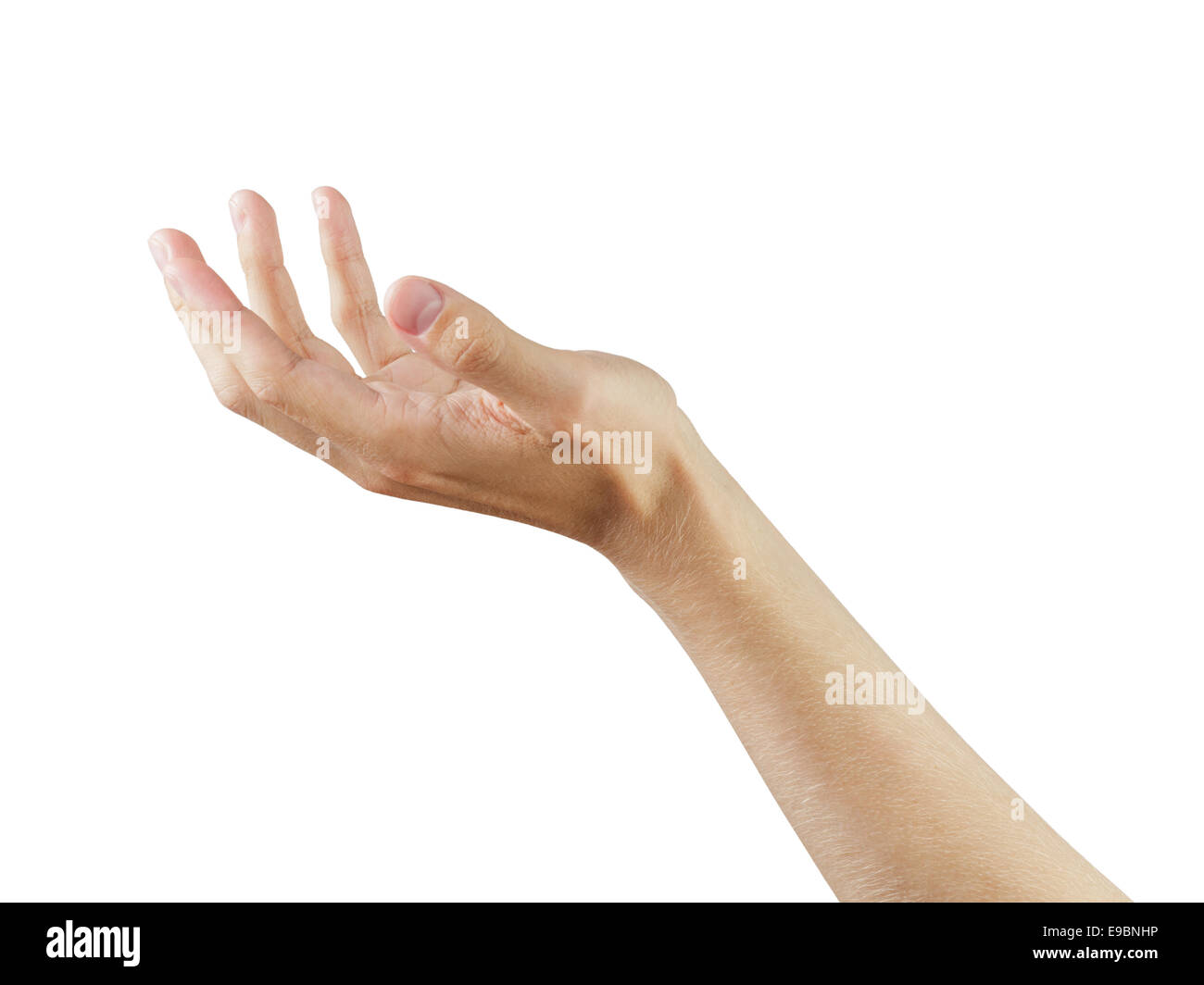 erwachsener Mann Hand etwas zu halten, konzentrieren sich auf Palm, isoliert auf weiss Stockfoto
