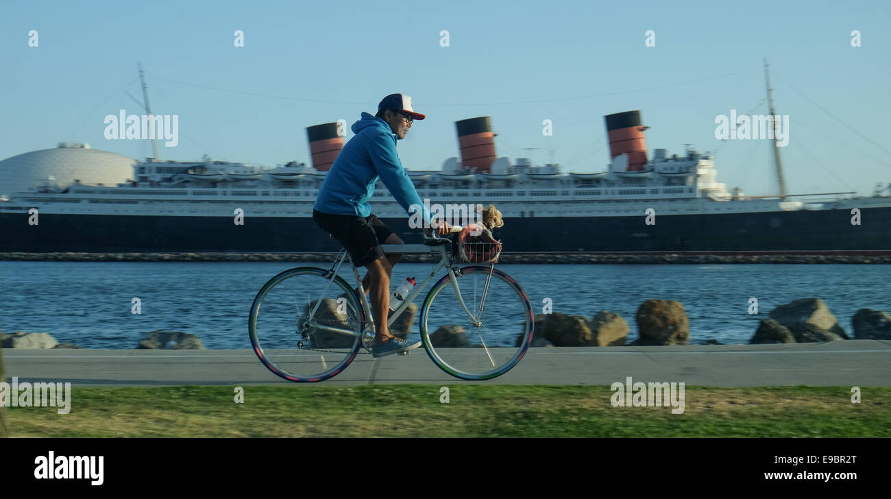 Ein Radfahrer mit Hund im Korb übergibt der Queen Mary Linear in Long Beach Kalifornien Stockfoto