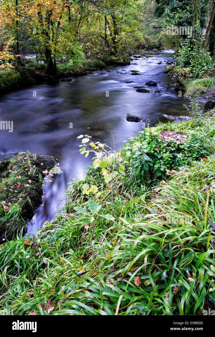 Fluss an Skelwith Bridge im Nationalpark Lake District, Cumbria Stockfoto