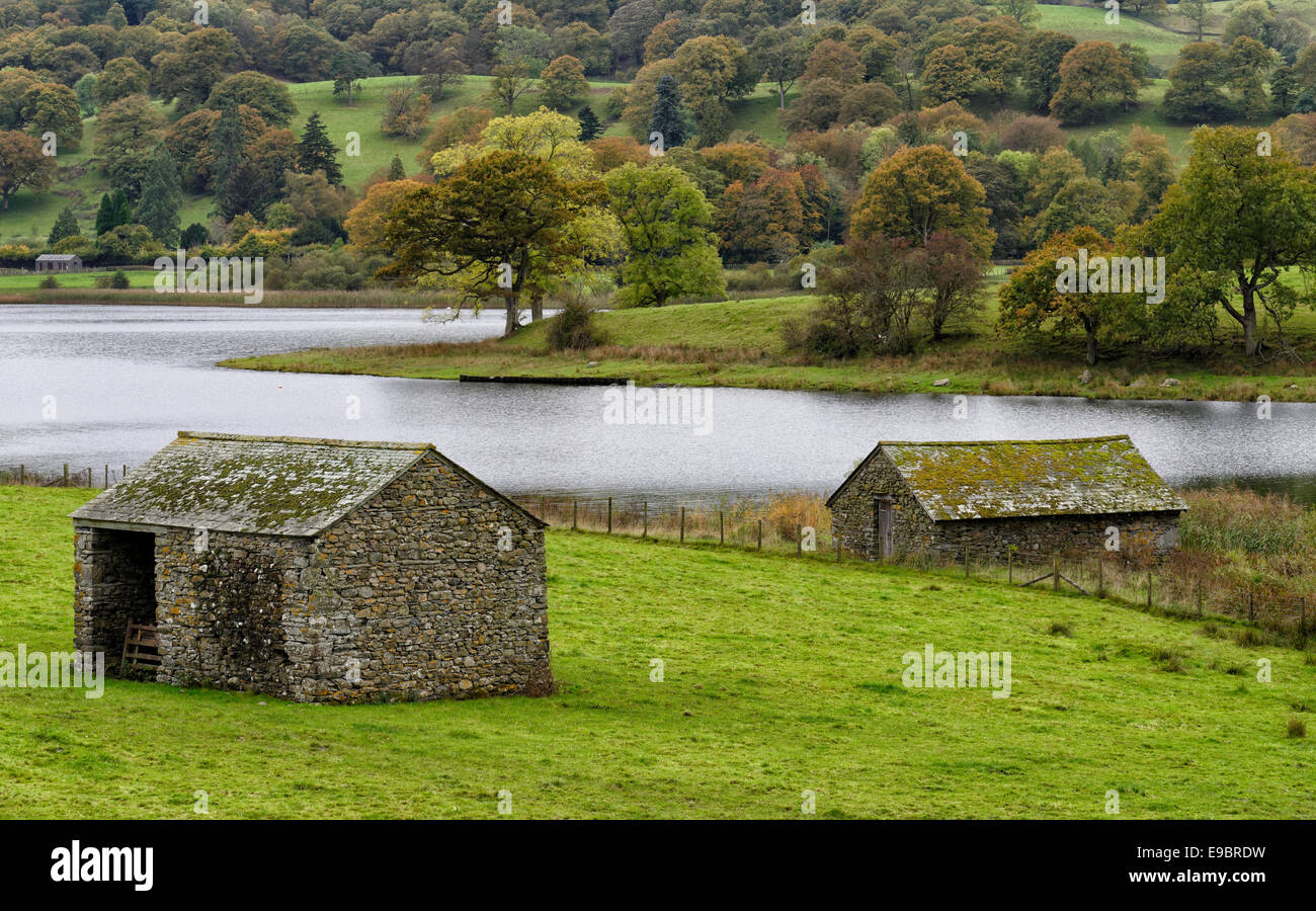 Alte Stein Scheunen in einem Feld in der Nähe von thirlmere im Nationalpark Lake District, Cumbria Stockfoto
