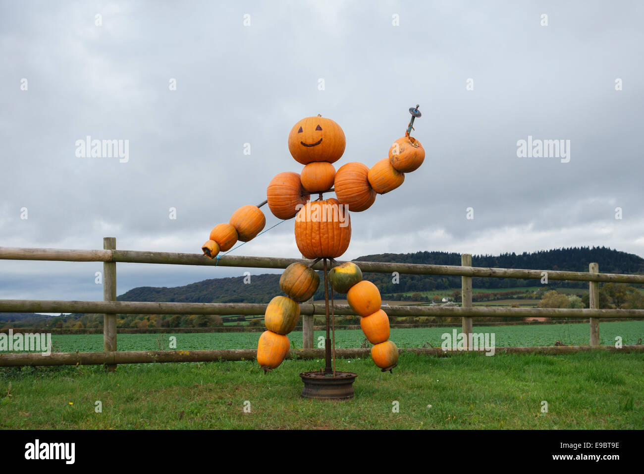 Eine Halloween-Skulptur aus Kürbissen steht an einem Farmtor in der Nähe von Hereford, Großbritannien Stockfoto