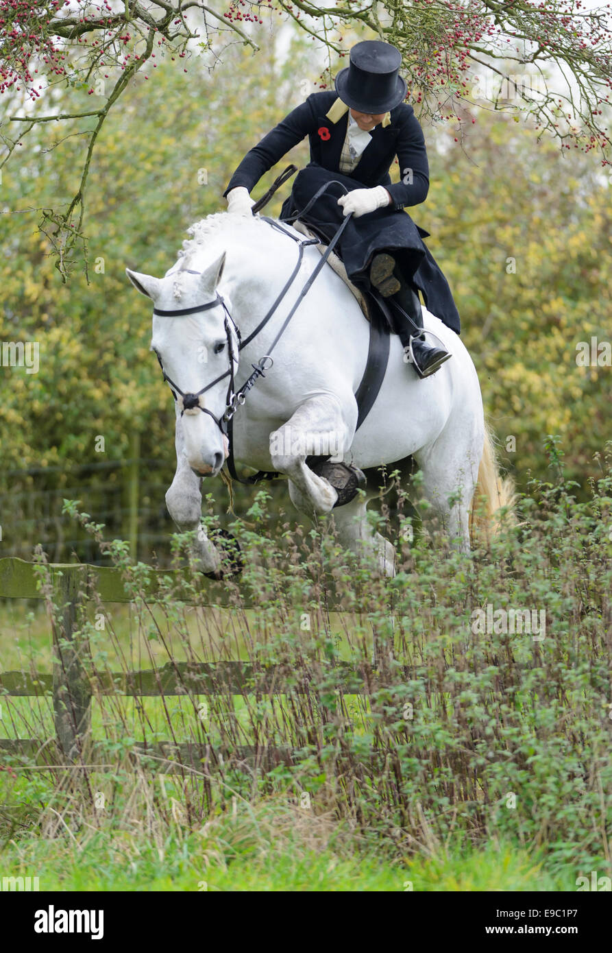 Leicestershire, UK. 24. Oktober 2014. Seite Sattel Reiter reisten von überall in Großbritannien und Irland für den Beginn der Jagdsaison Fuchs - Quorn Jagd Öffnung treffen auf die Zwinger. Bildnachweis: Nico Morgan/Alamy Live-Nachrichten Stockfoto