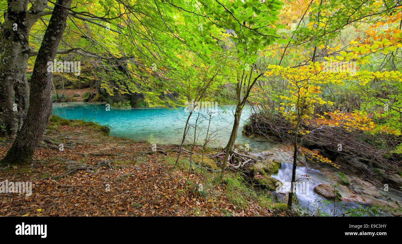 Buchenwald. Herbstfarben im Urederra Fluss. Navarra, Spanien. Stockfoto