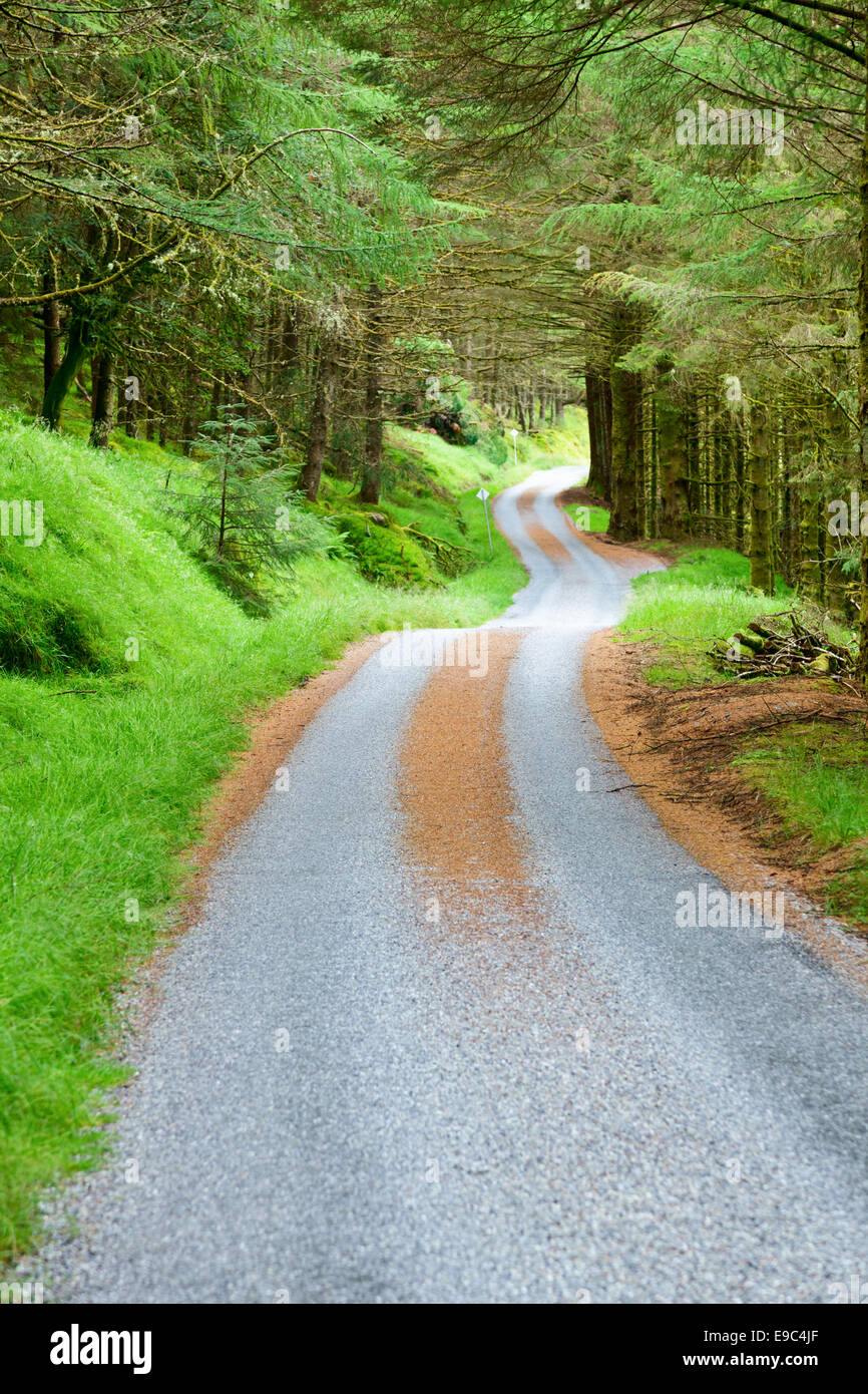 Kurvenreiche Panoramastraße durch den grünen Wald in Schottland Stockfoto