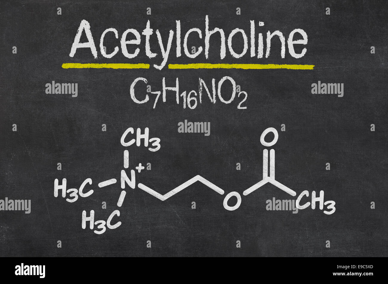 Tafel mit der chemischen Formel von Acetylcholin Stockfoto
