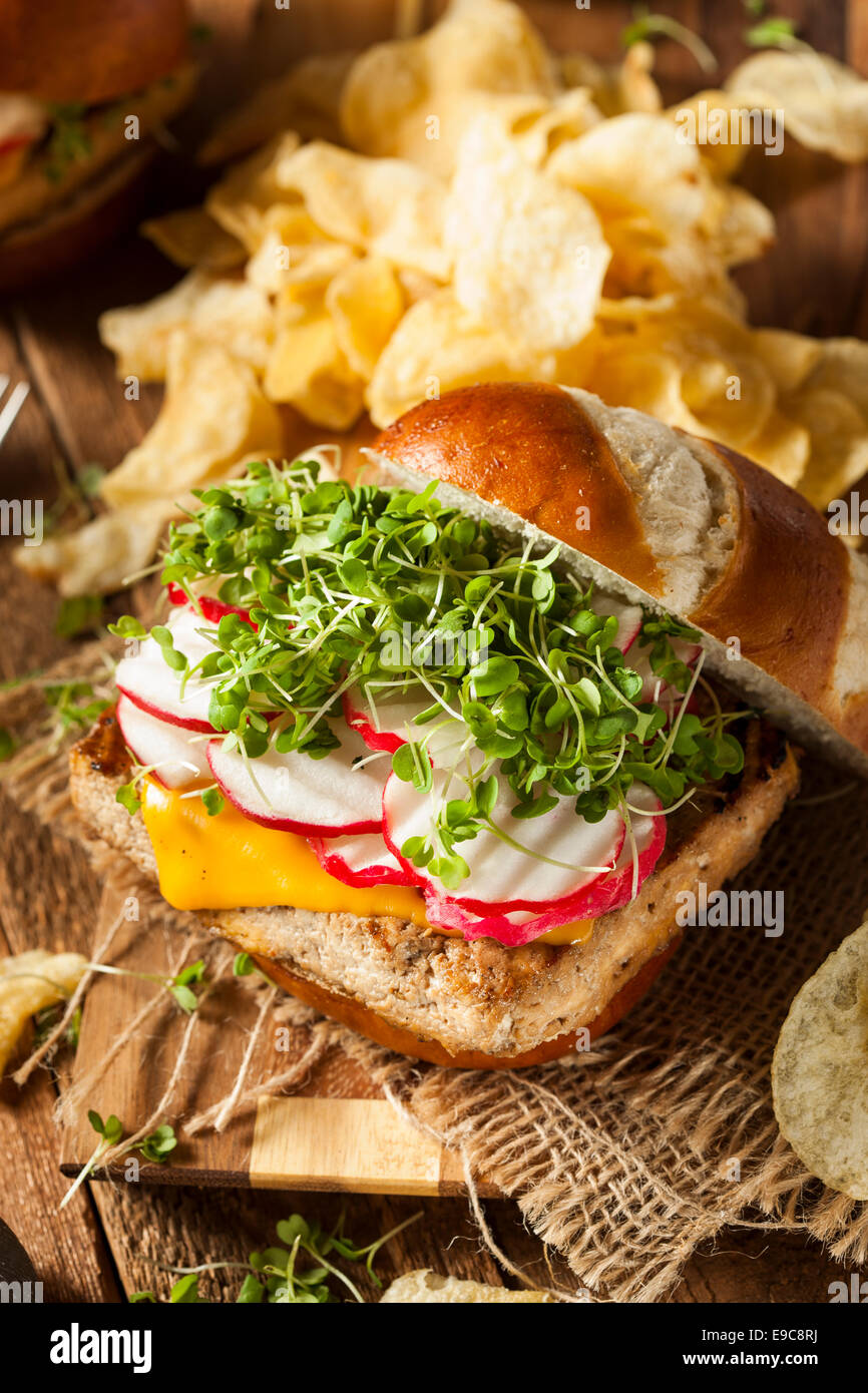 Hausgemachte vegetarische Soja Tofu-Burger mit Pommes frites Stockfoto
