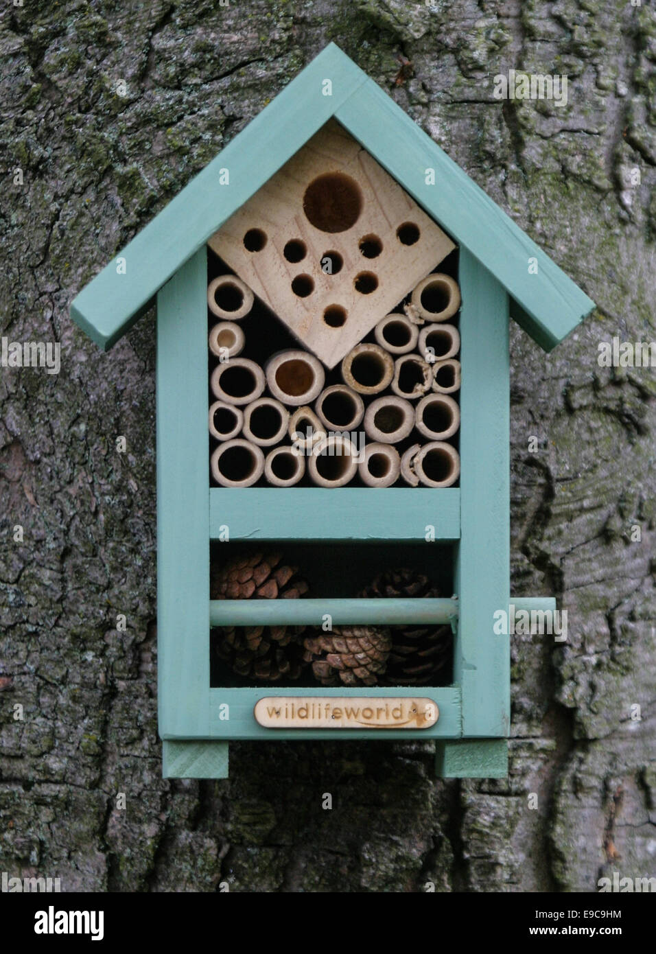 Biene-Box - für überwinternde Bienen Stockfoto