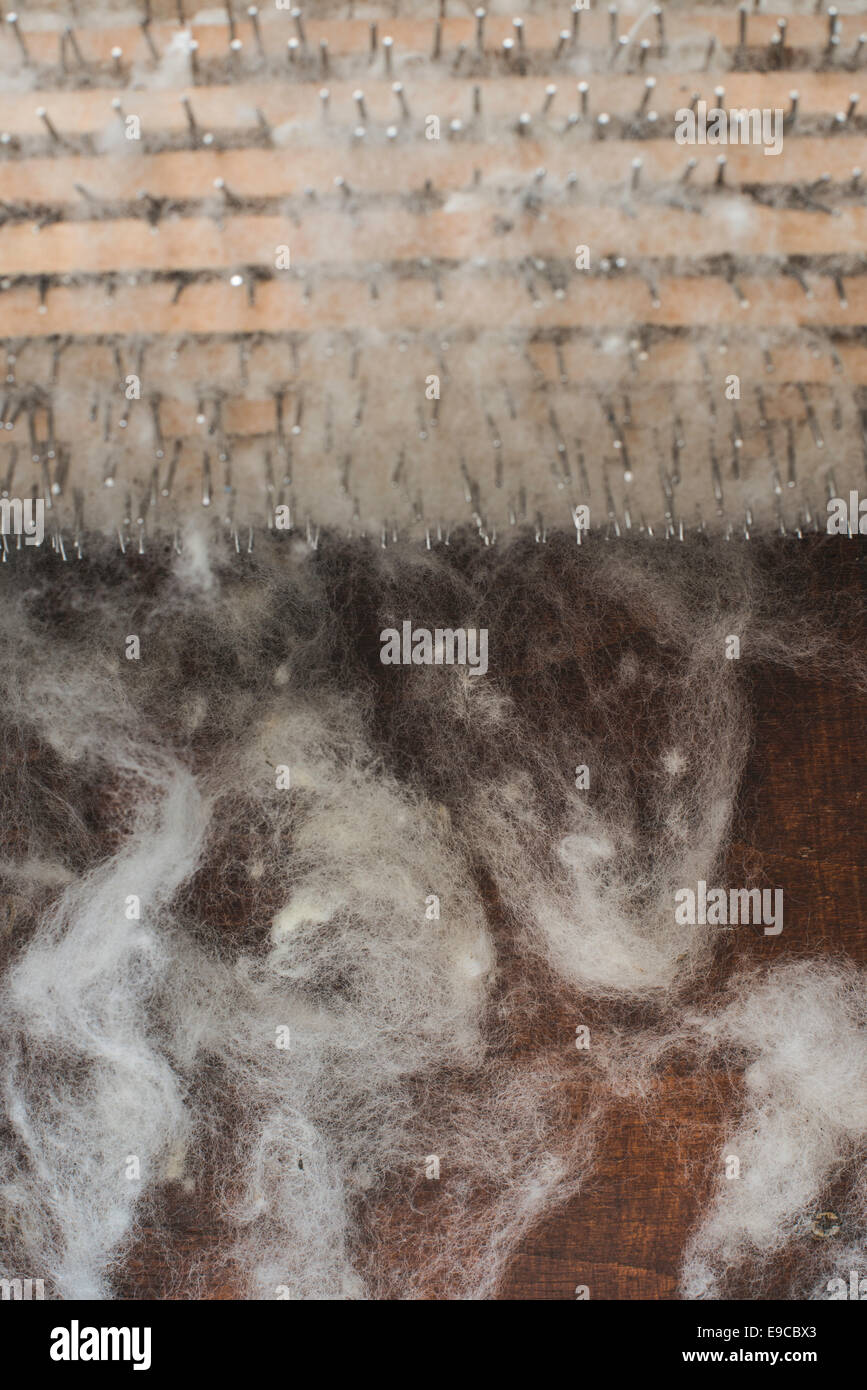 Manuelle Verarbeitung von Wolle Stockfoto