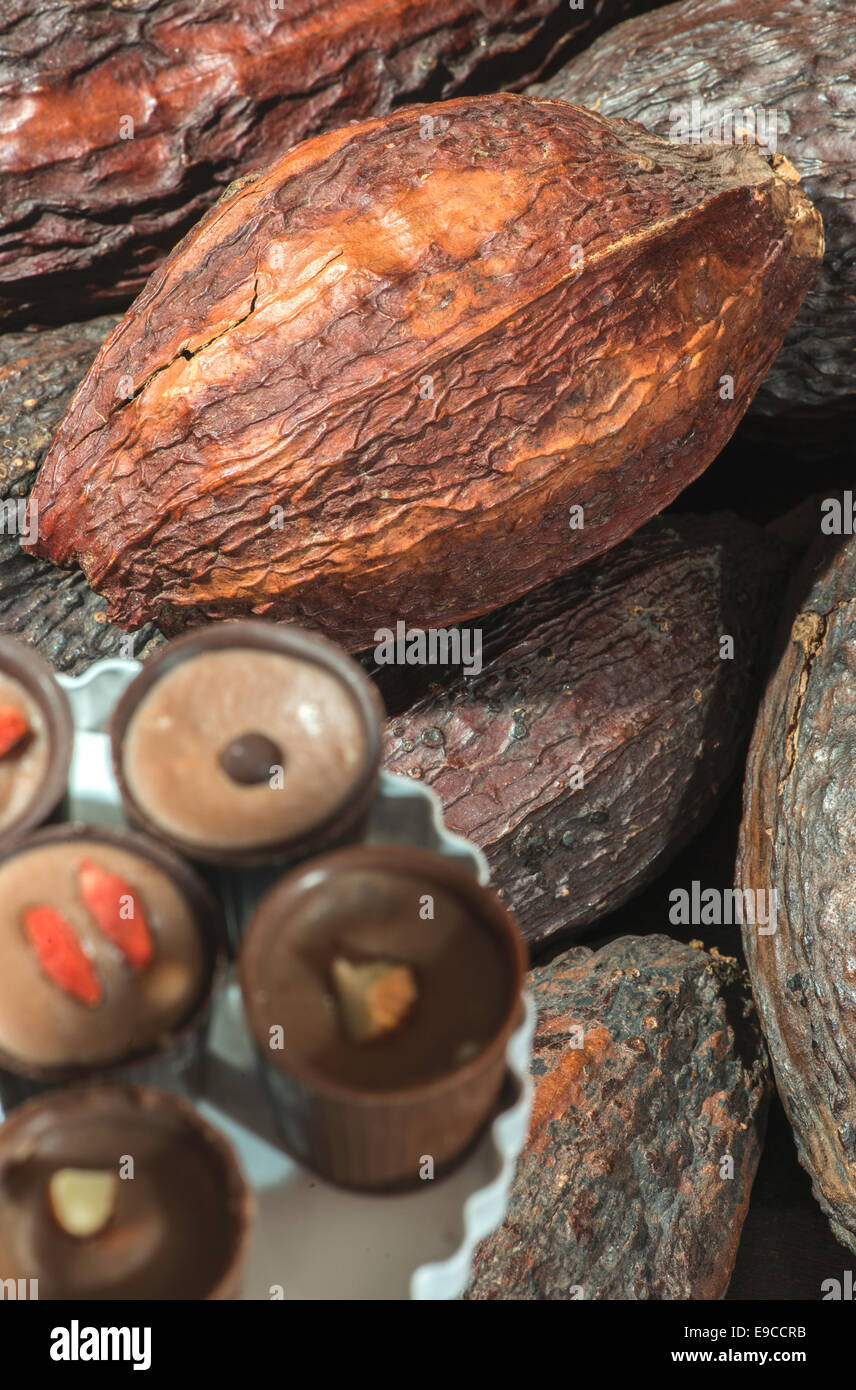 Kakaofrüchte und bonbons Stockfoto