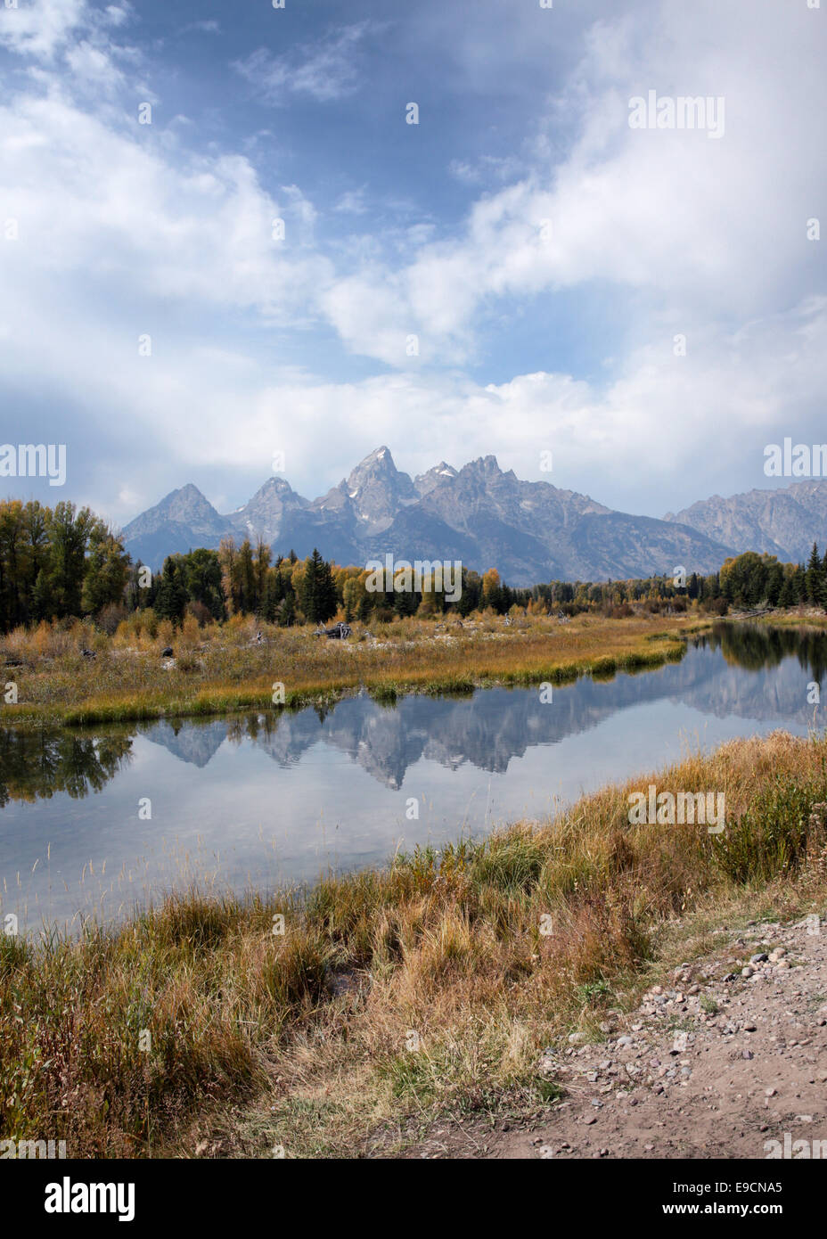 Die Teton Mountains spiegelt sich im Wasser des Snake River an Schwabachers Landung im Grand Teton National Park in Wyoming Stockfoto