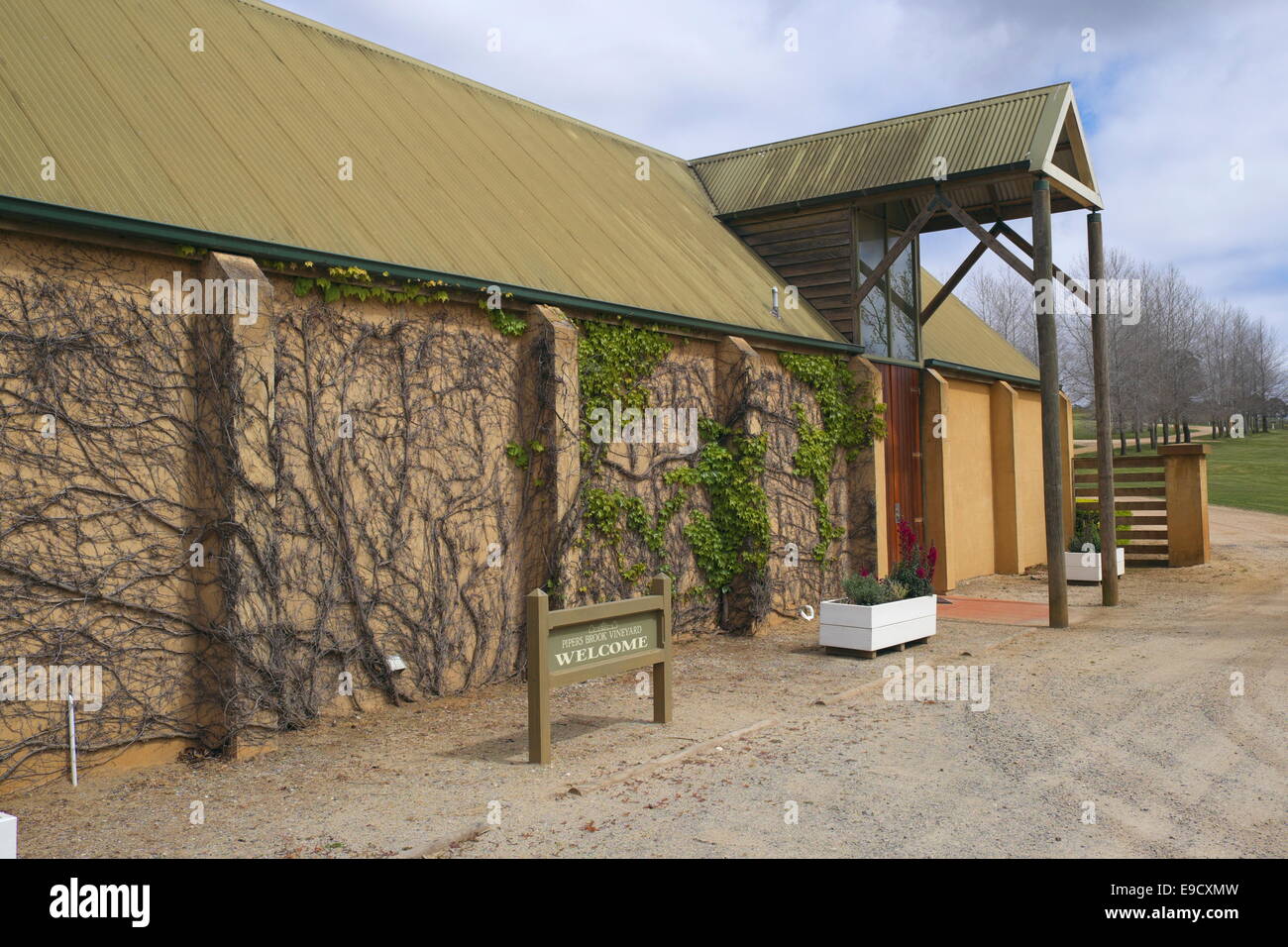 Pipers Brook Weinberg ist Heimat von Kreglinger Wine Estates - Produzenten des gefeierten Kreglinger Jahrgangs, Tasmanien Stockfoto