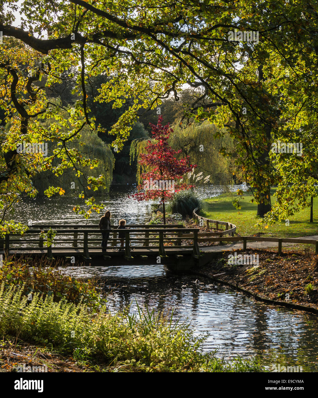 Temple Newsam an einem sonnigen Herbsttag. Stockfoto