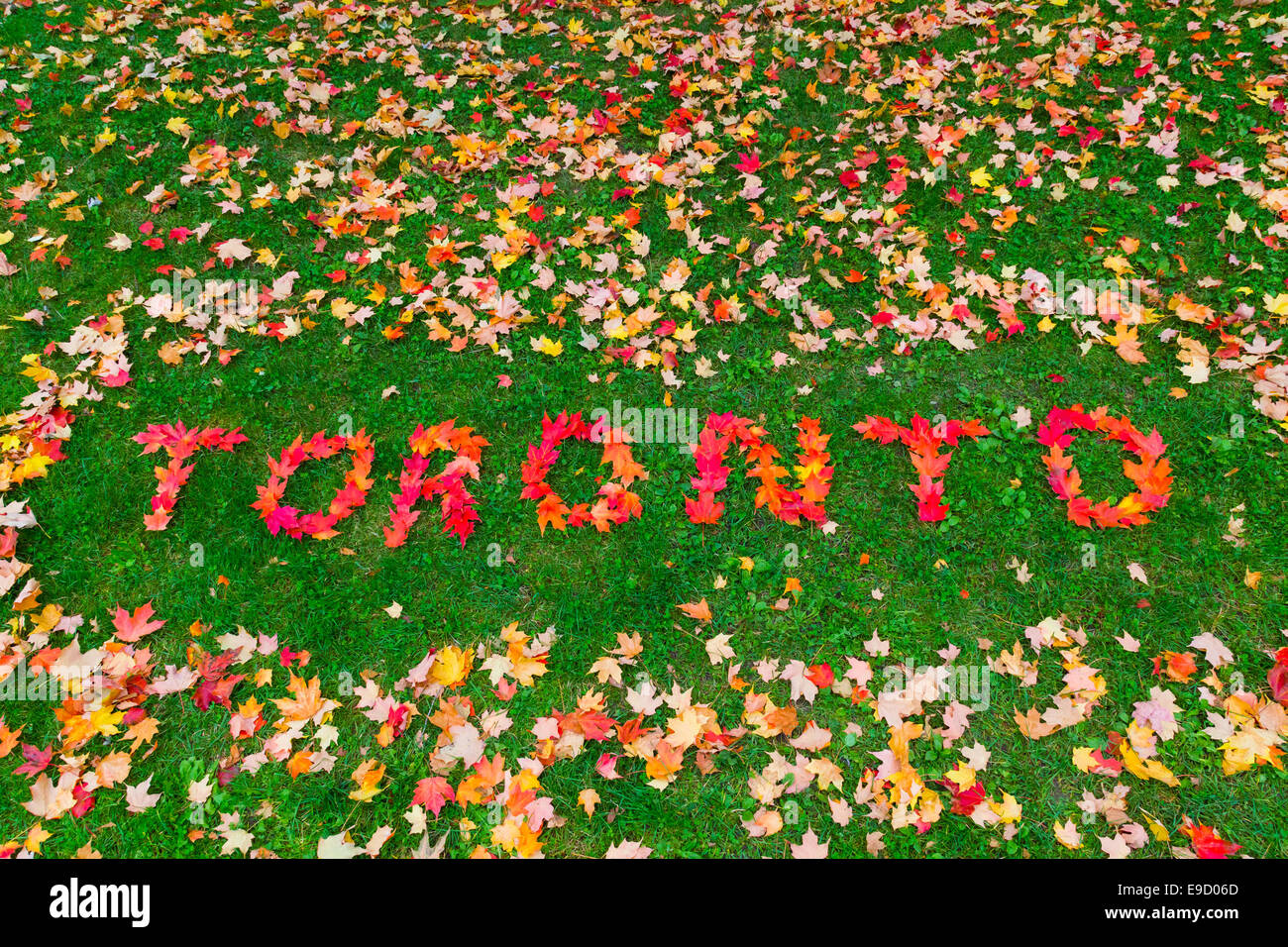 Die Worte lässt Toronto geschrieben mit Ahorn Stockfoto