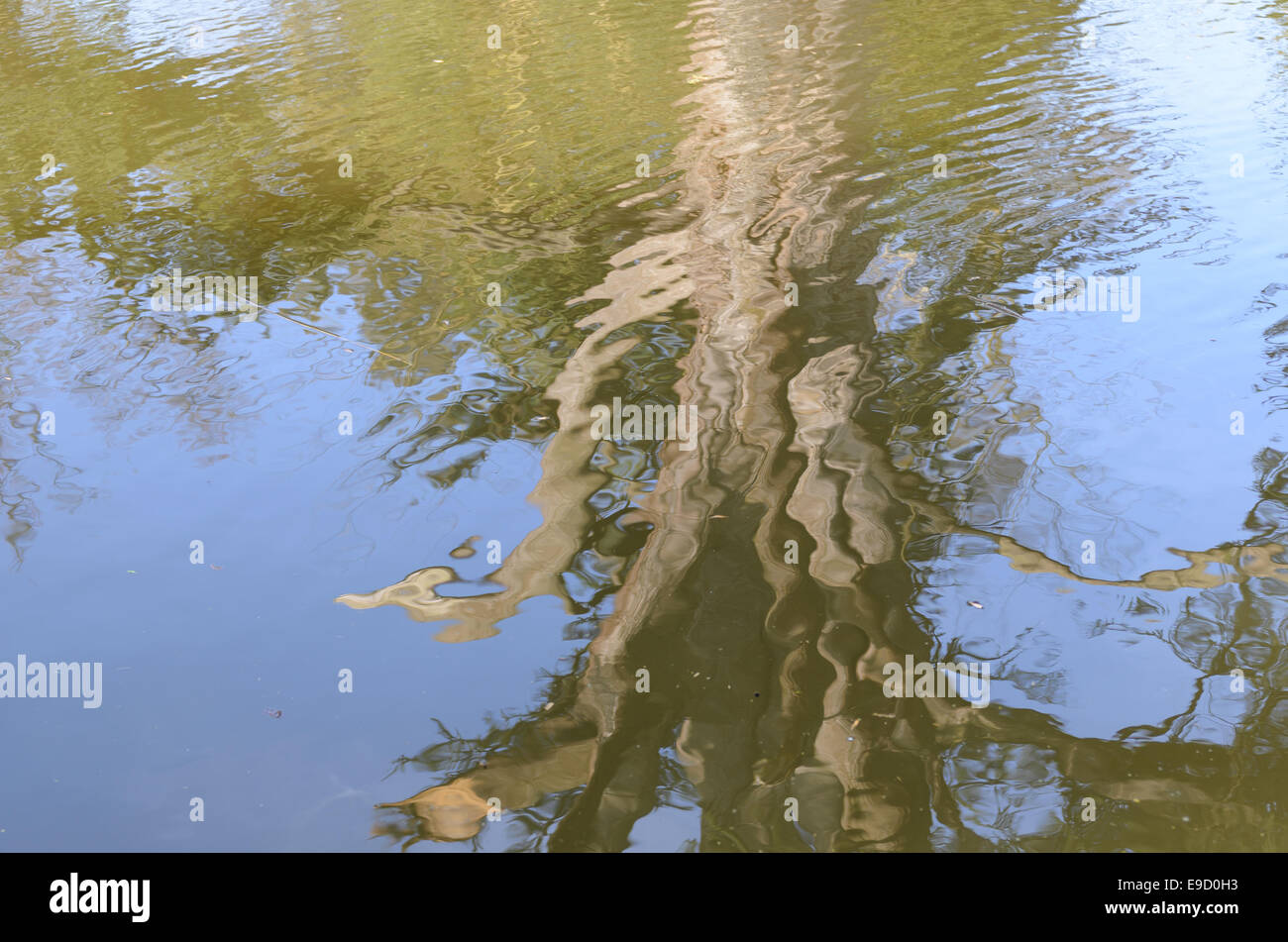 schöne Farben in einem Foto der Reflexion eines Baums im Plätschern des Wassers Stockfoto