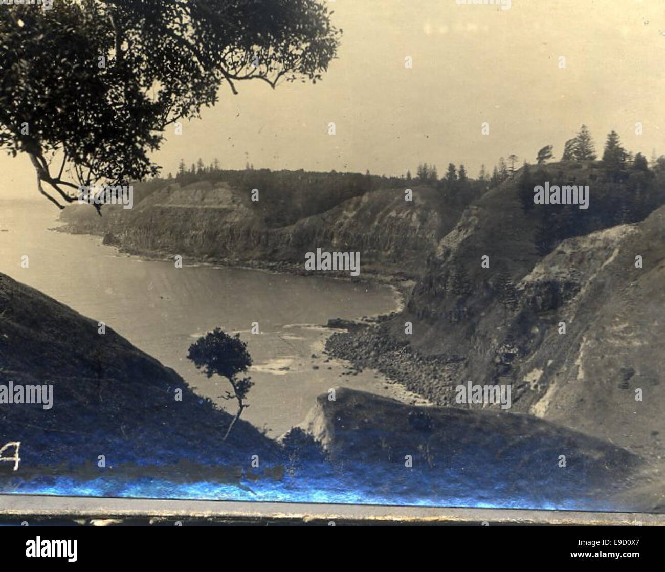 Ein Foto, das die Gegend in der Nähe von Cascades Landing Place zeigt und die natürliche Umgebung und Landschaft des Ortes festnimmt, möglicherweise mit einem Schwerpunkt auf seiner landschaftlichen Schönheit. Stockfoto