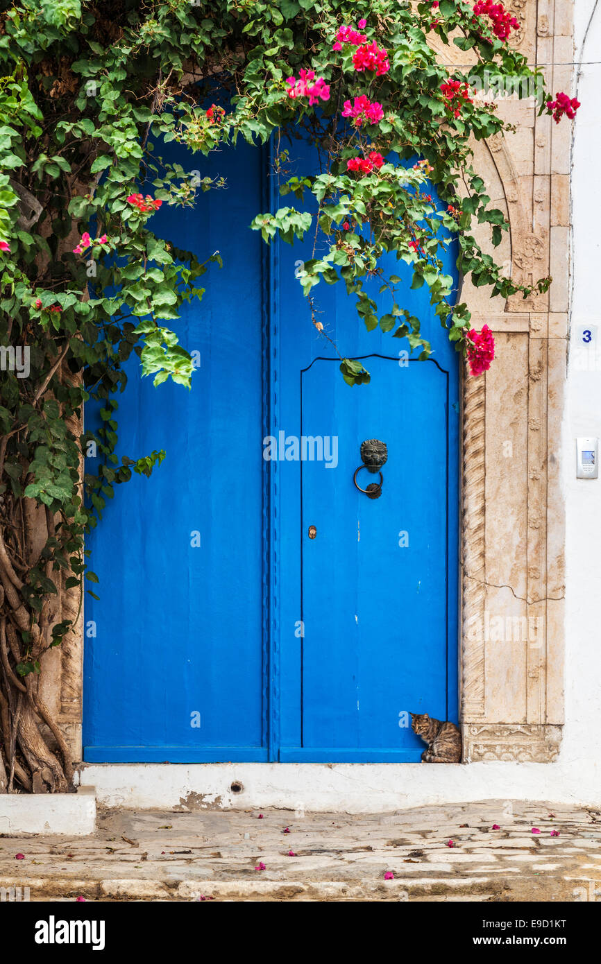 Eine Katze sitzt direkt vor der Haustür von einem typischen blauen Haustür in Sidi Bou Said, Tunesien. Stockfoto