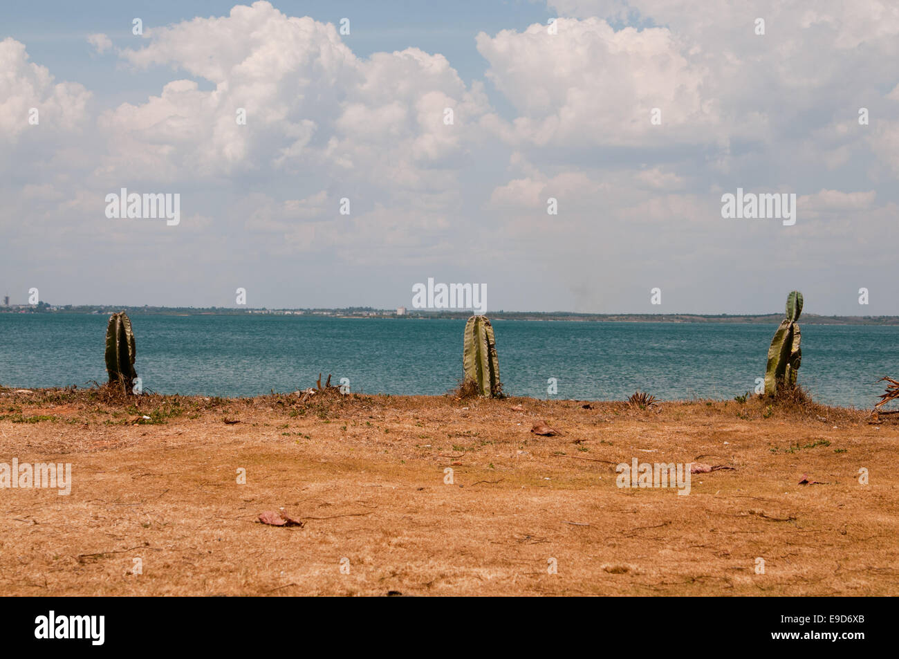 Einen romantischen Strand Karibik in der Nähe von klaren, blauen Meer Stockfoto