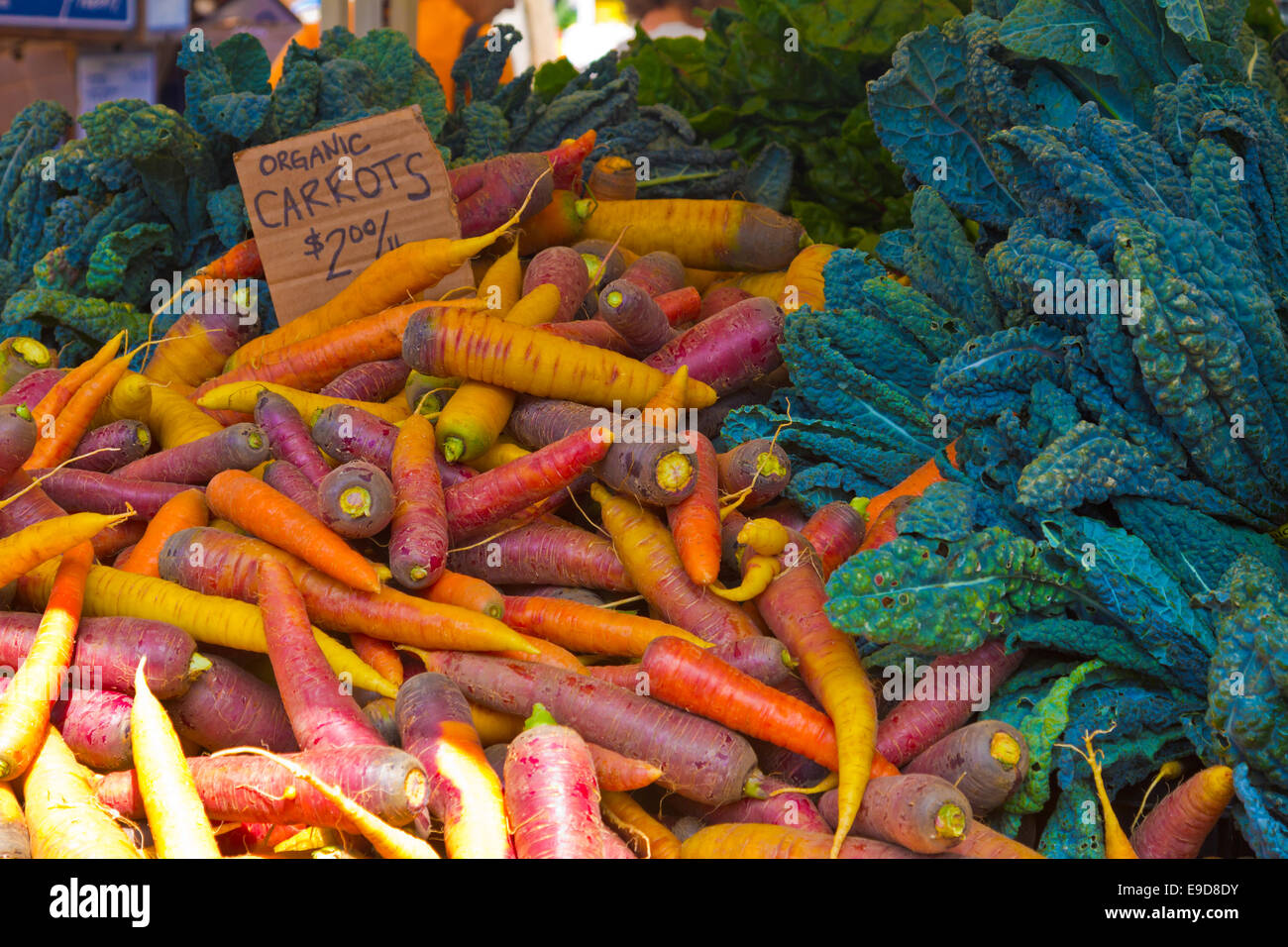 Bunte Karotten zum Verkauf an einen Bauernmarkt. Stockfoto
