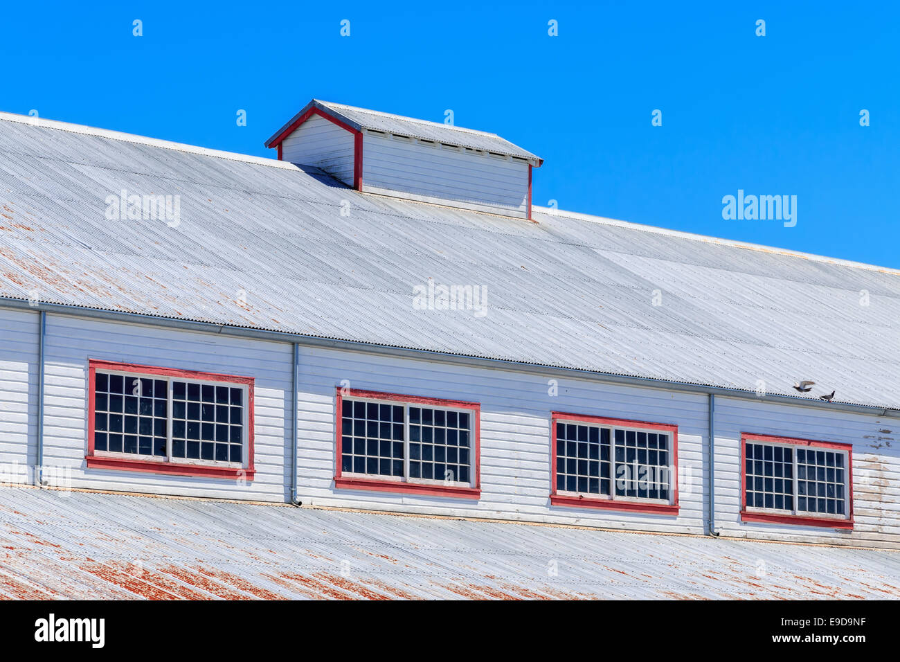 Dach der Industriehalle gegen blauen Himmel. Stockfoto
