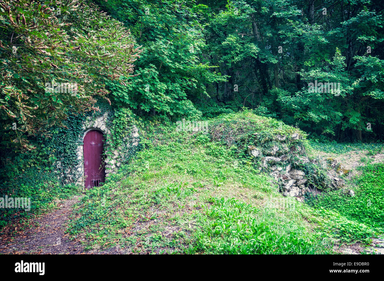 Die geheime Tür Stockfoto