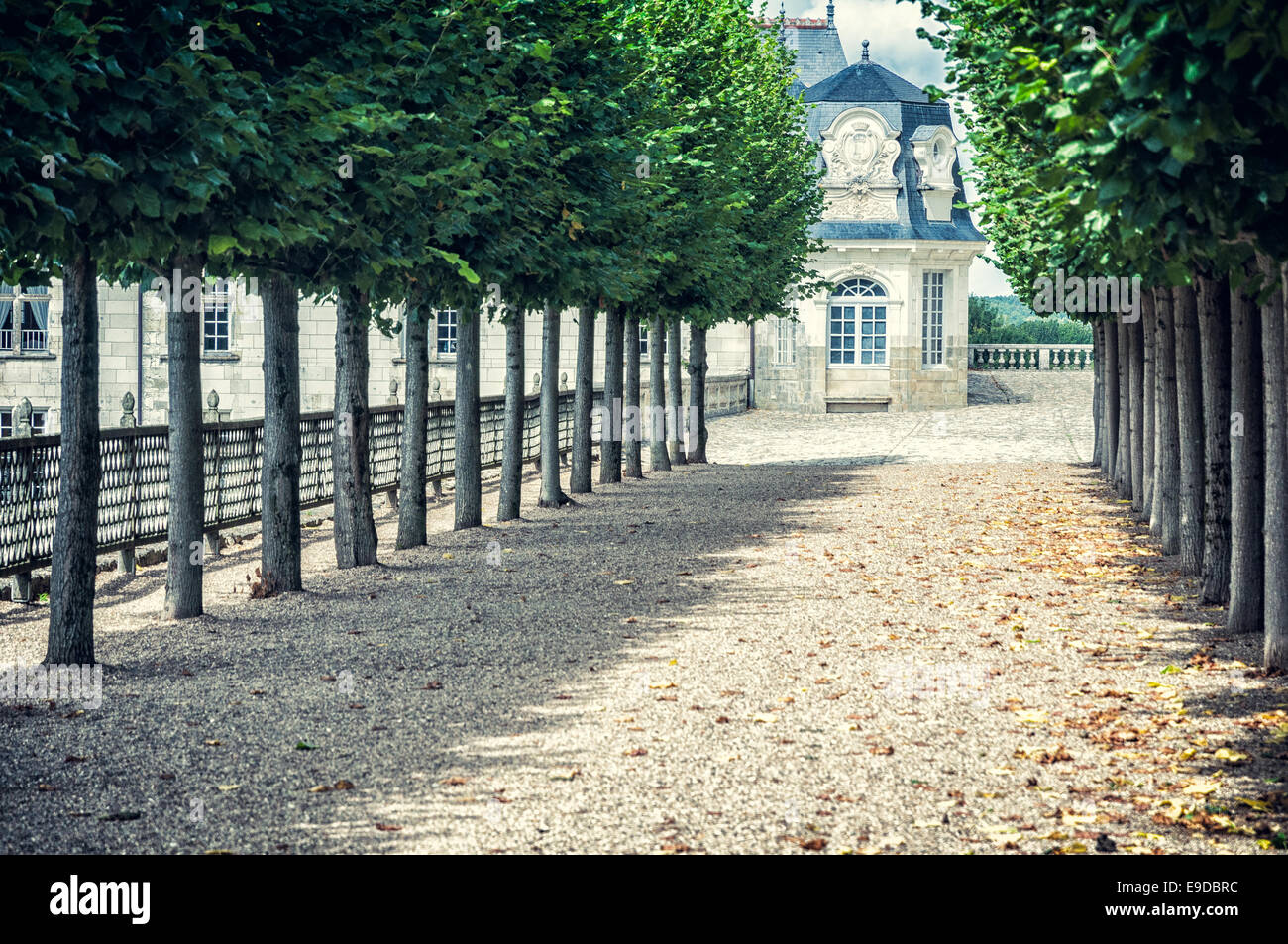 Das Gericht des Château de Villandry Stockfoto