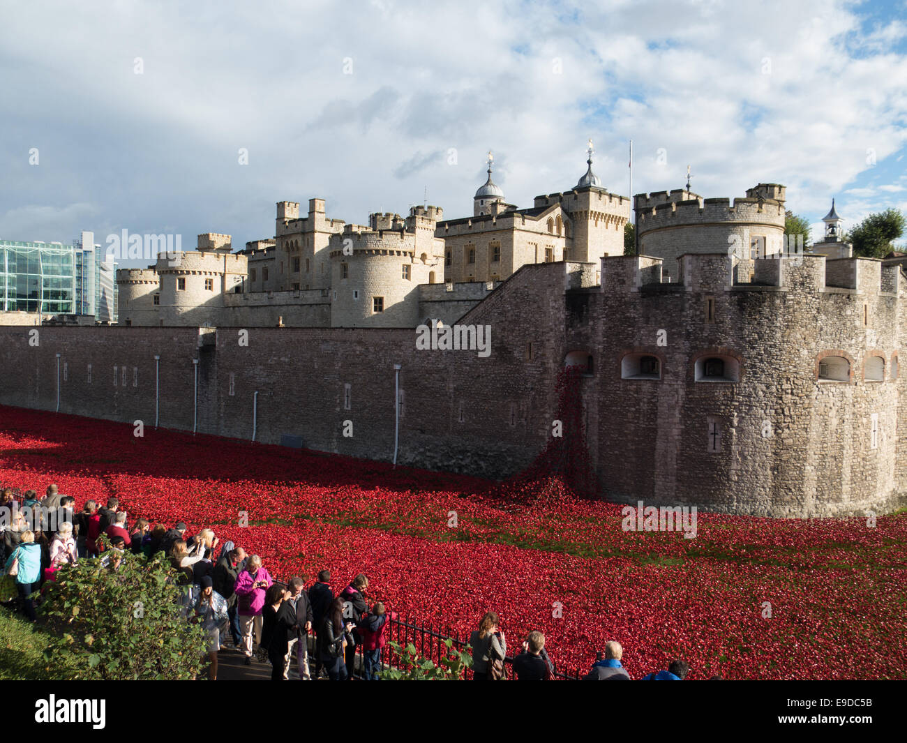 Graben von Mohn rund um den Tower of London Stockfoto